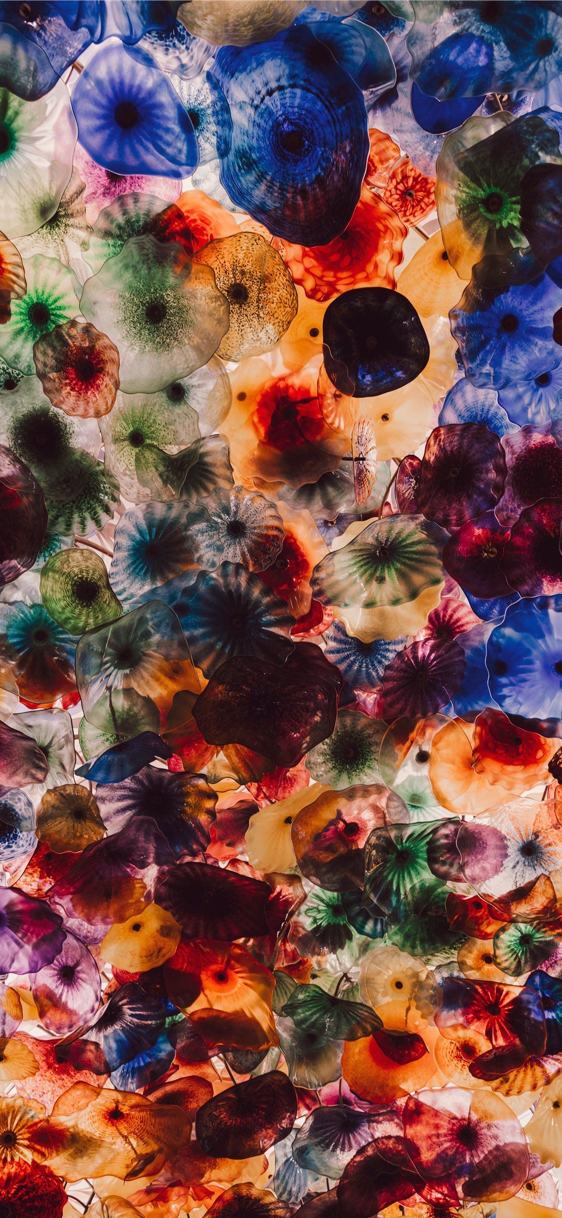 Amazing iPhone 11 Wallpapers Wallpaper Cave