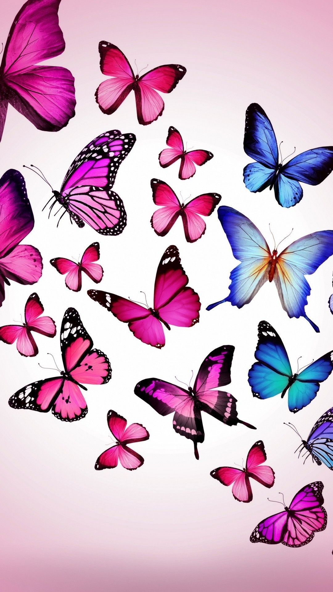 Pink Butterfly iPhone Wallpapers Wallpaper Cave