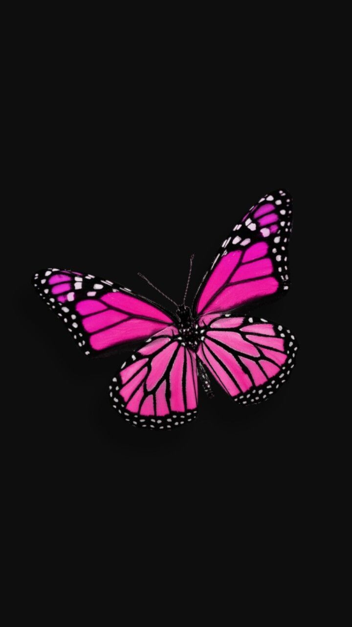Aesthetic Butterfly Wallpapers Wallpaper Cave