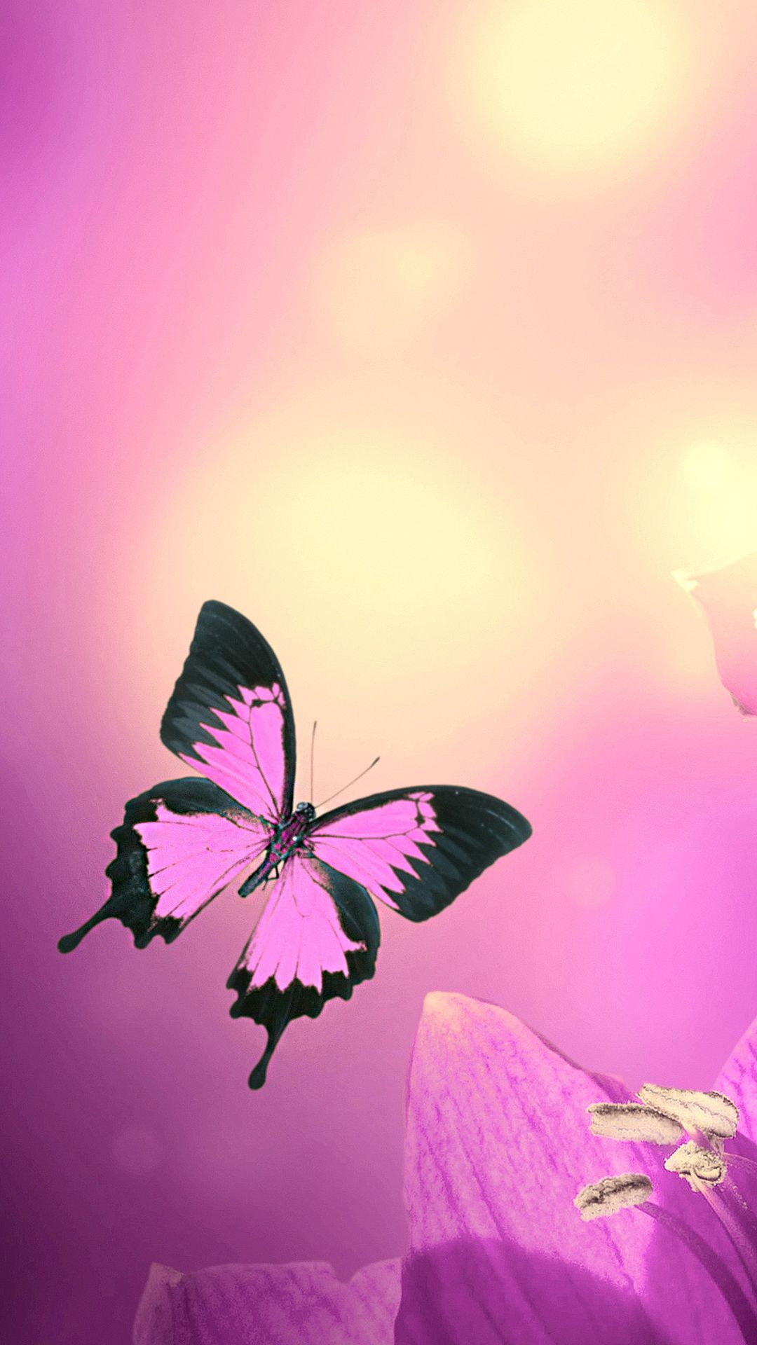 Cute Butterfly Wallpapers For Mobile Phones Wallpaper Cave 320