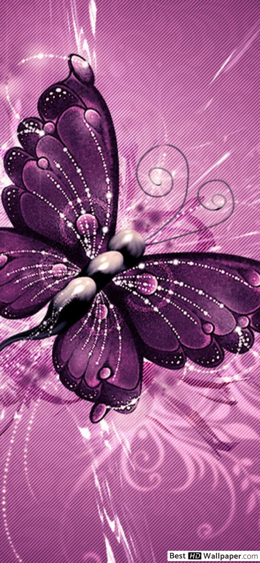 Pink Butterfly iPhone Wallpapers Wallpaper Cave