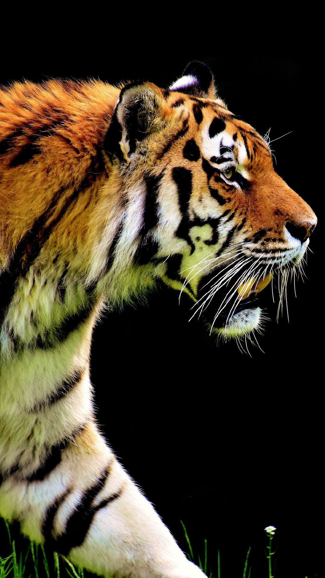 Hunting iPhone Wallpapers Wallpaper Cave
