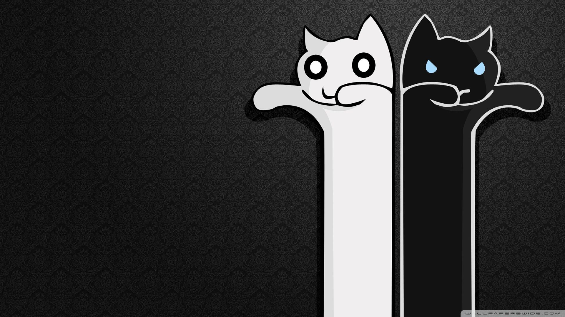 Cartoon Cat Scary Wallpapers Wallpaper Cave
