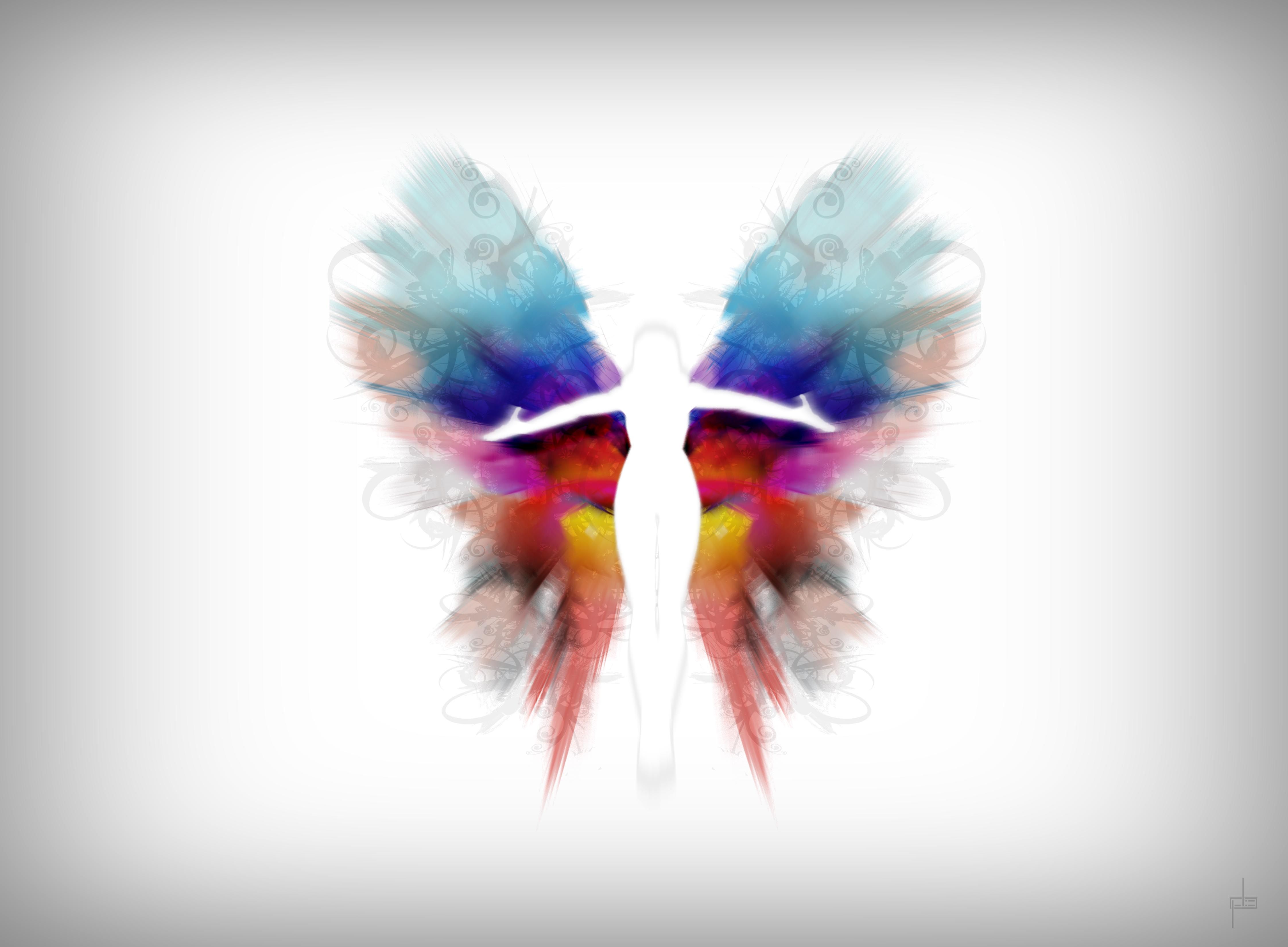 Metamorphosis Wallpapers Wallpaper Cave