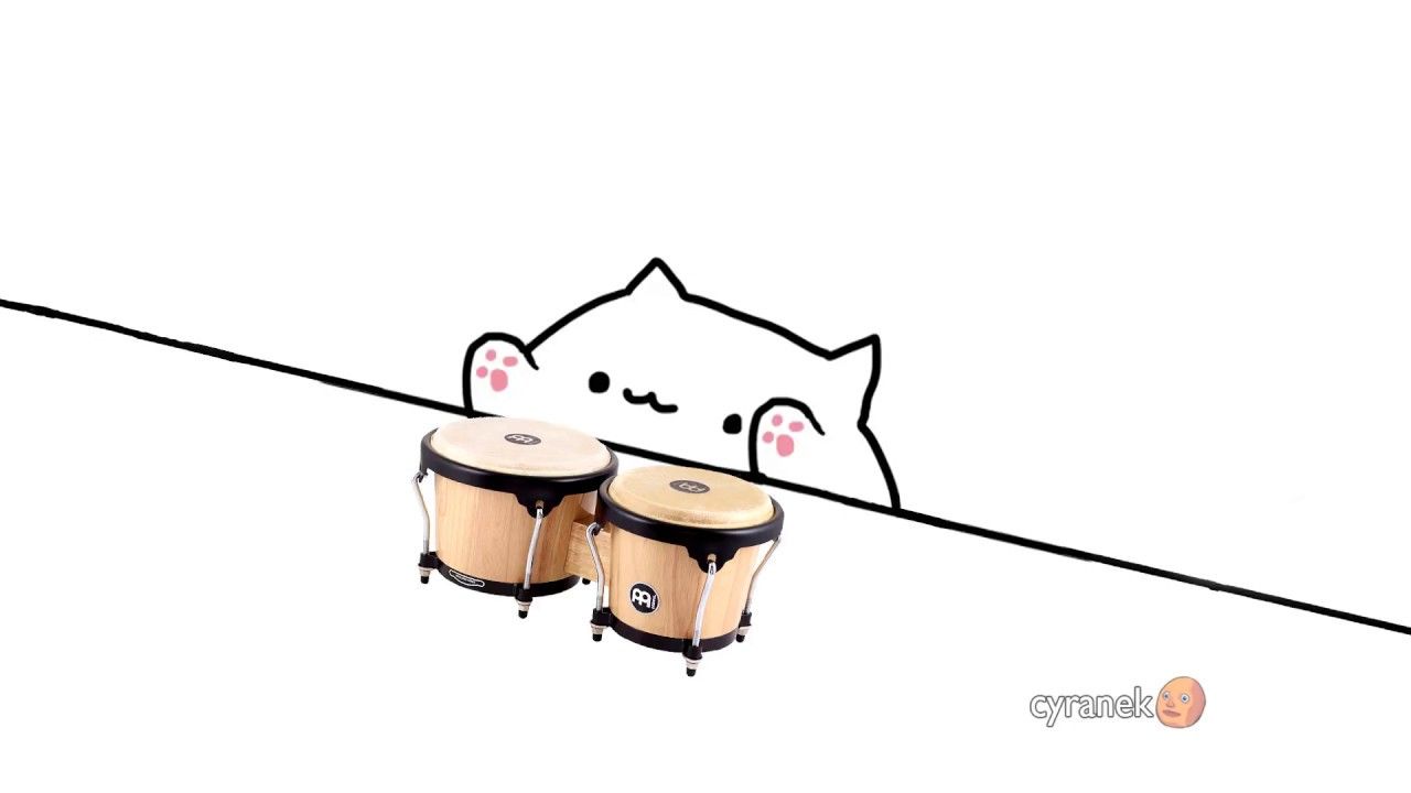 Bongo Cats Wallpapers Wallpaper Cave