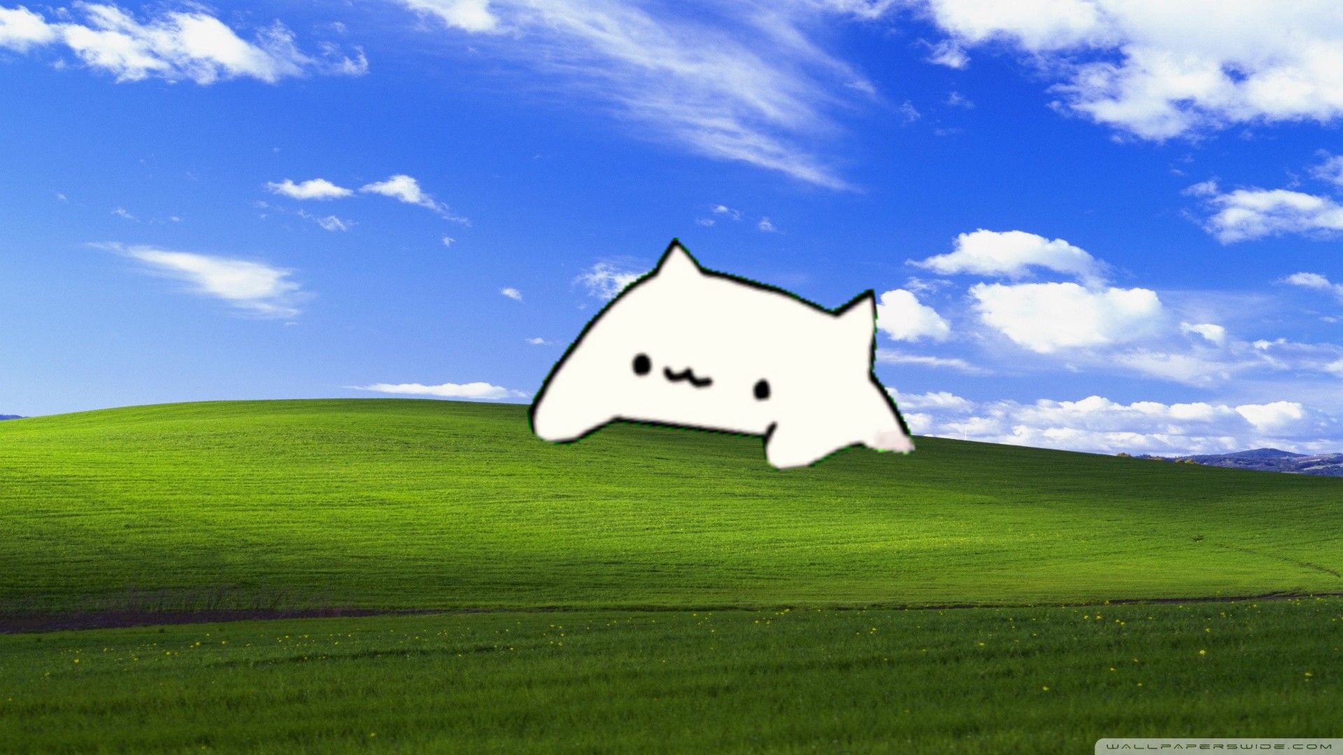 Bongo Cats Wallpapers Wallpaper Cave