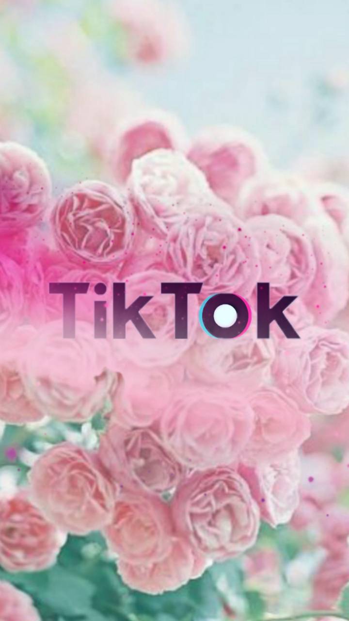 Pink TikTok Wallpapers Wallpaper Cave