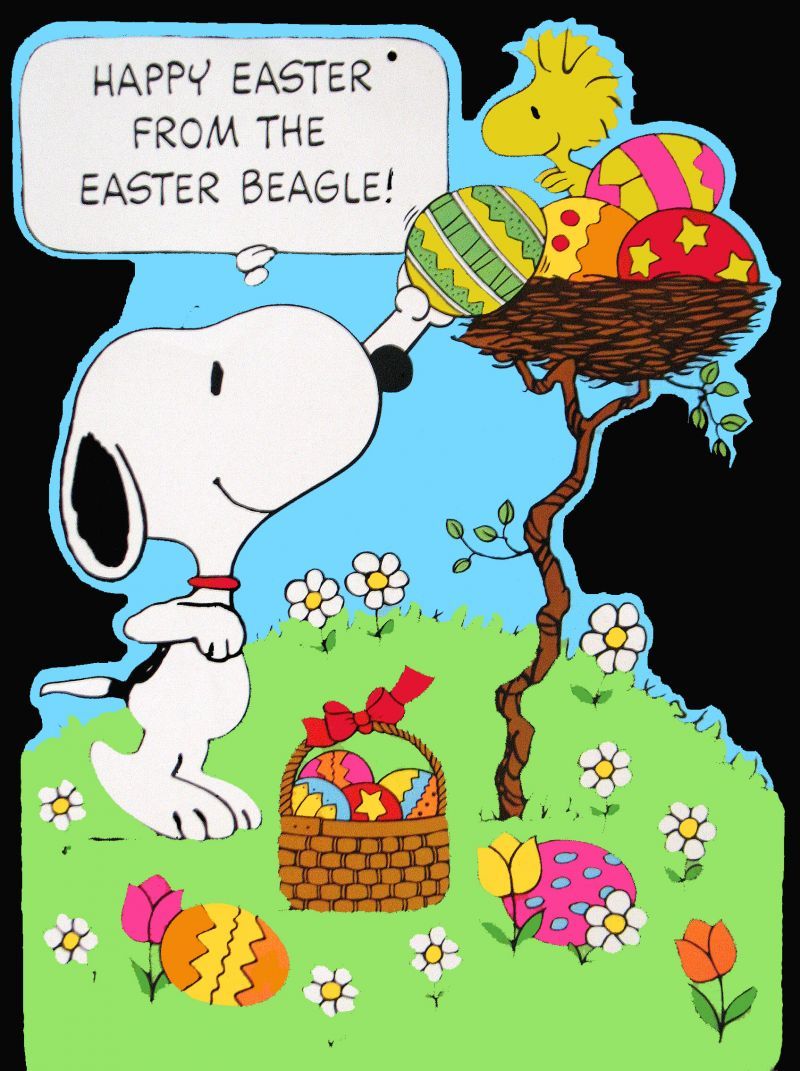 It's The Easter Beagle, Charlie Brown Wallpapers Wallpaper Cave