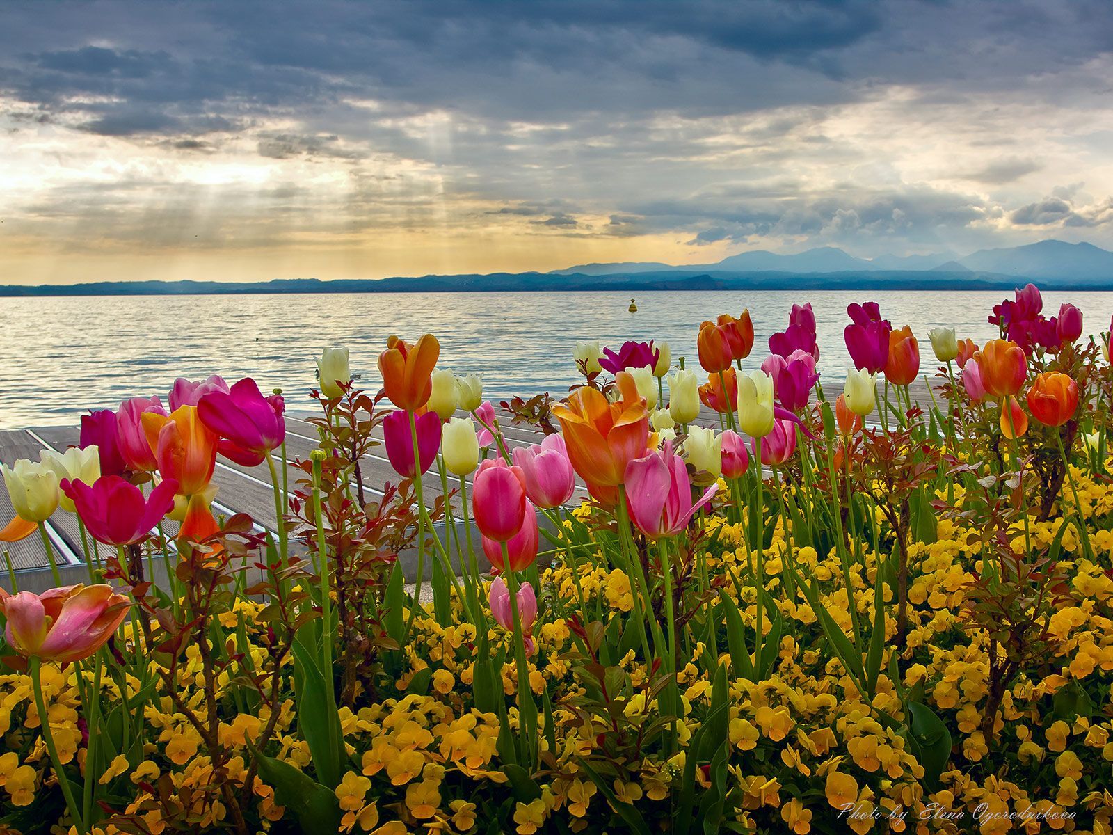 Spring Italy Wallpapers Wallpaper Cave