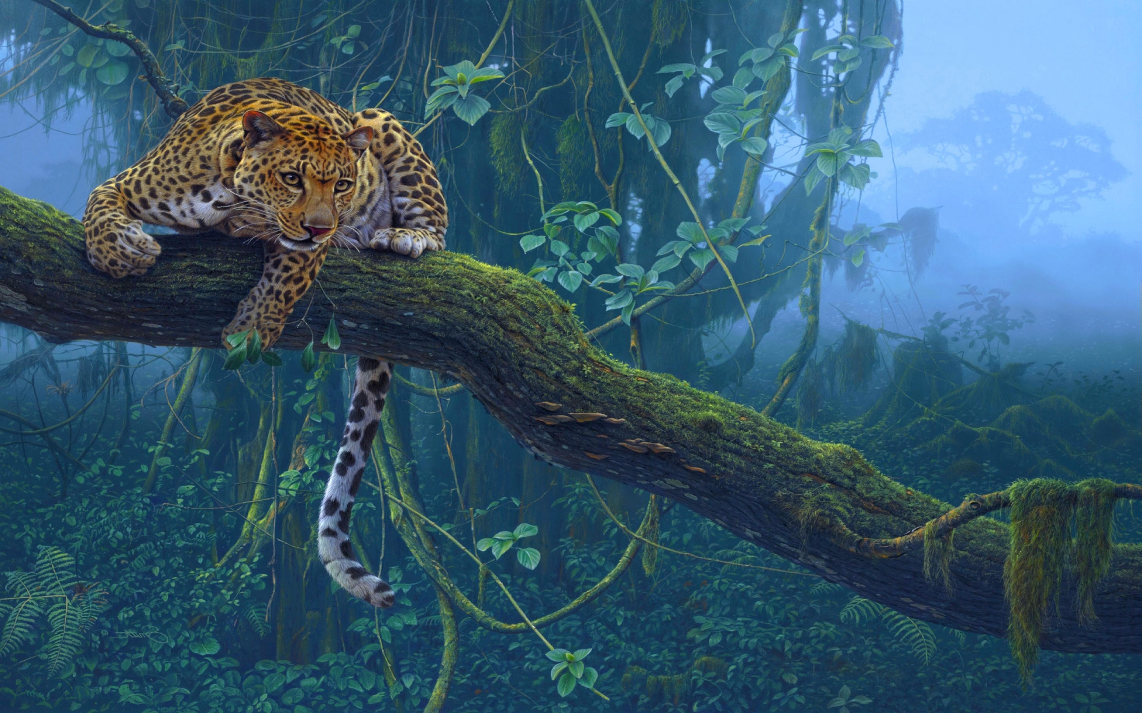 Leopard Jungle Wallpapers Wallpaper Cave
