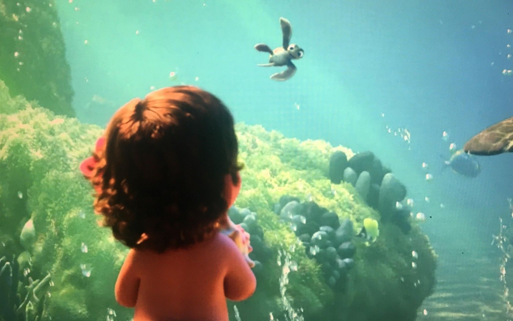 Moana Ocean Wallpapers - Wallpaper Cave