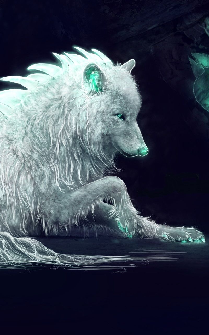 White Wolf Android HD Wallpapers Wallpaper Cave