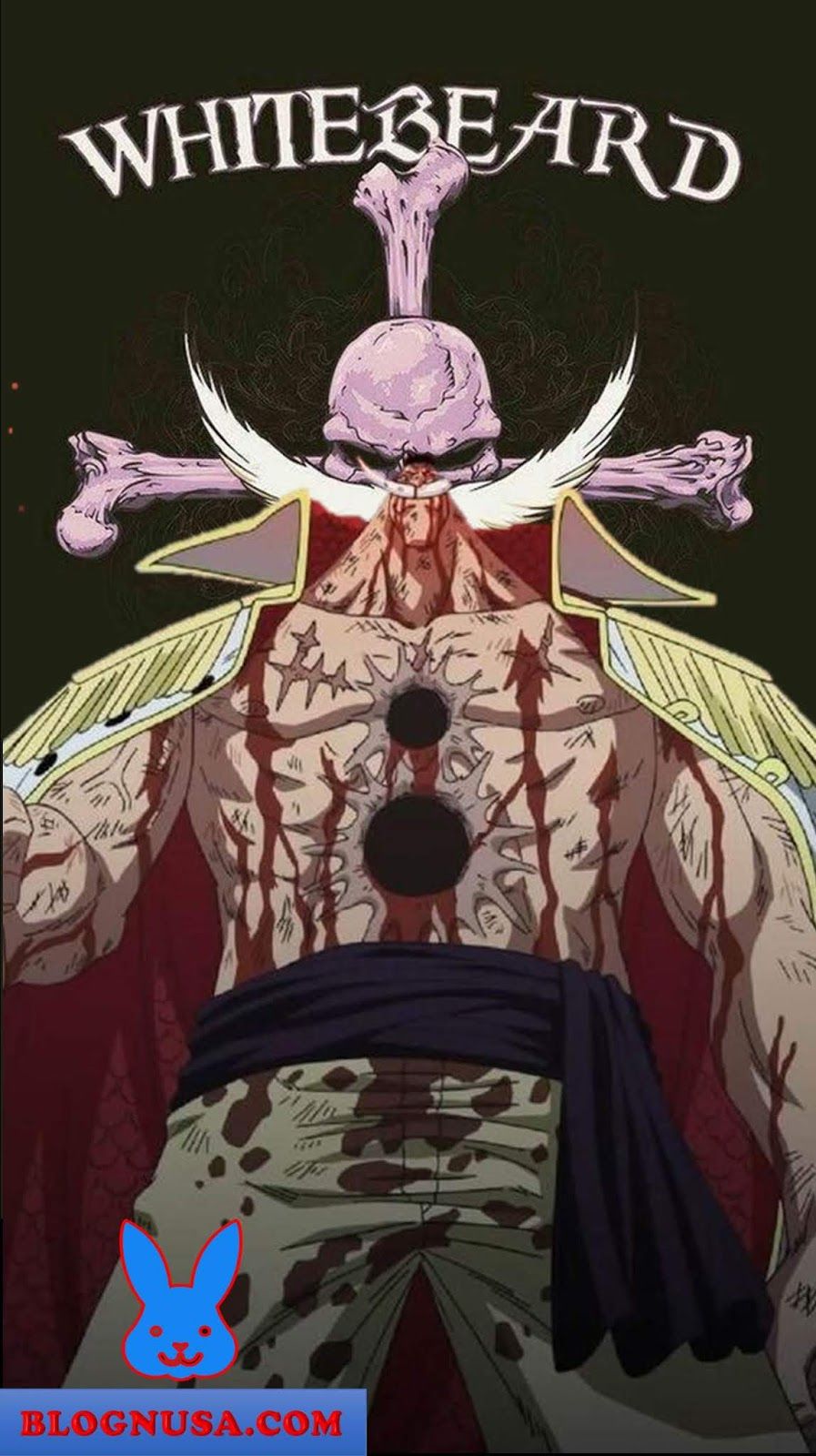 Whitebeard Mobile Wallpapers Wallpaper Cave