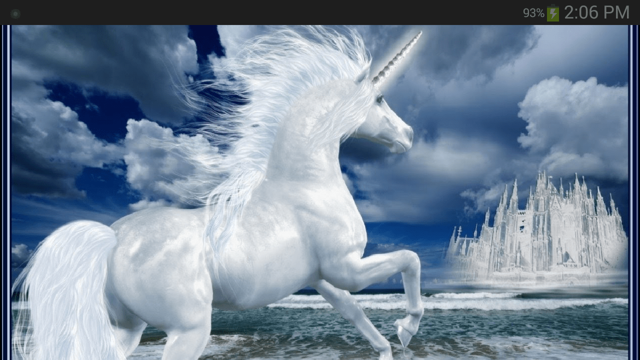 Real Unicorns Wallpapers Wallpaper Cave