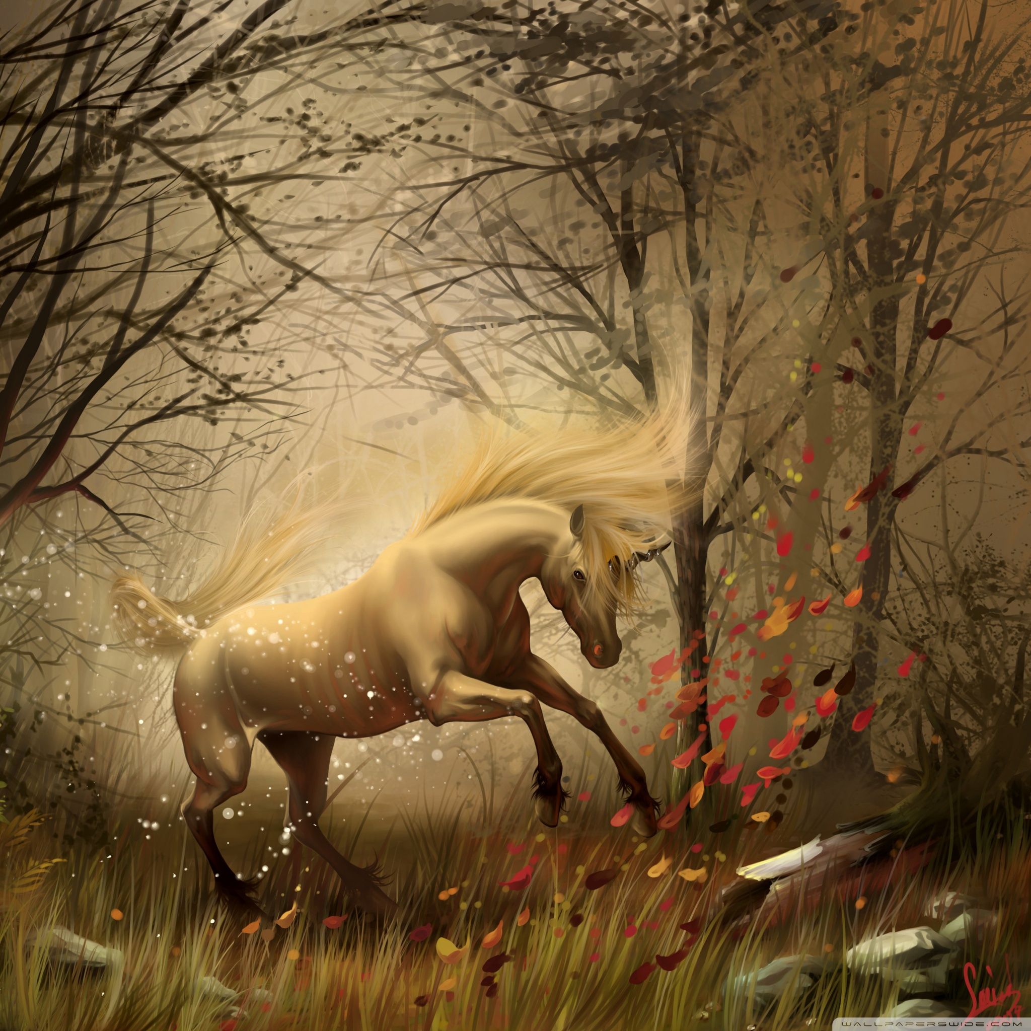 Real Unicorns Wallpapers Wallpaper Cave
