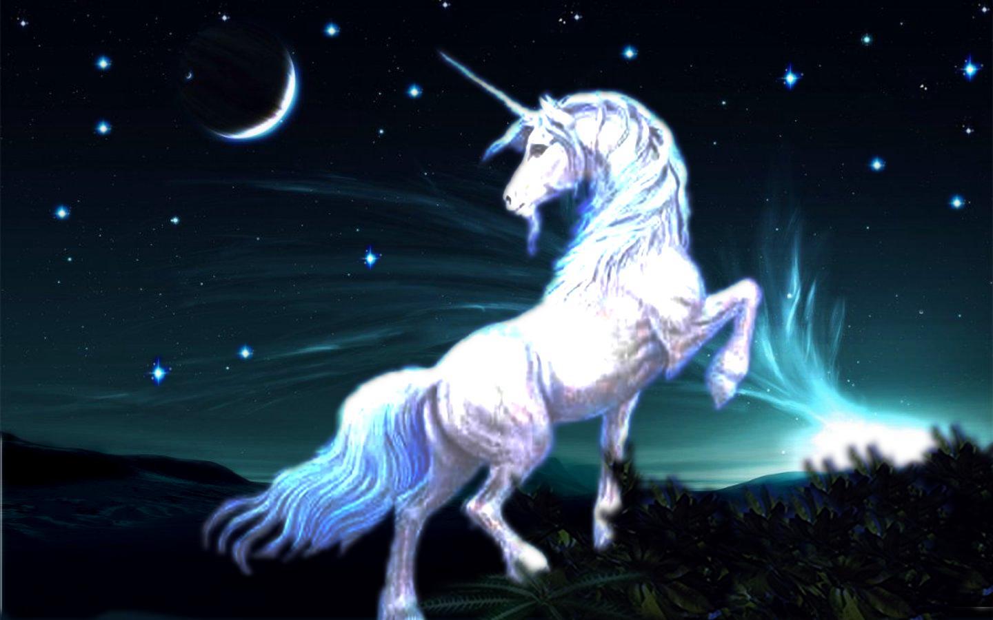 Real Unicorns Wallpapers Wallpaper Cave