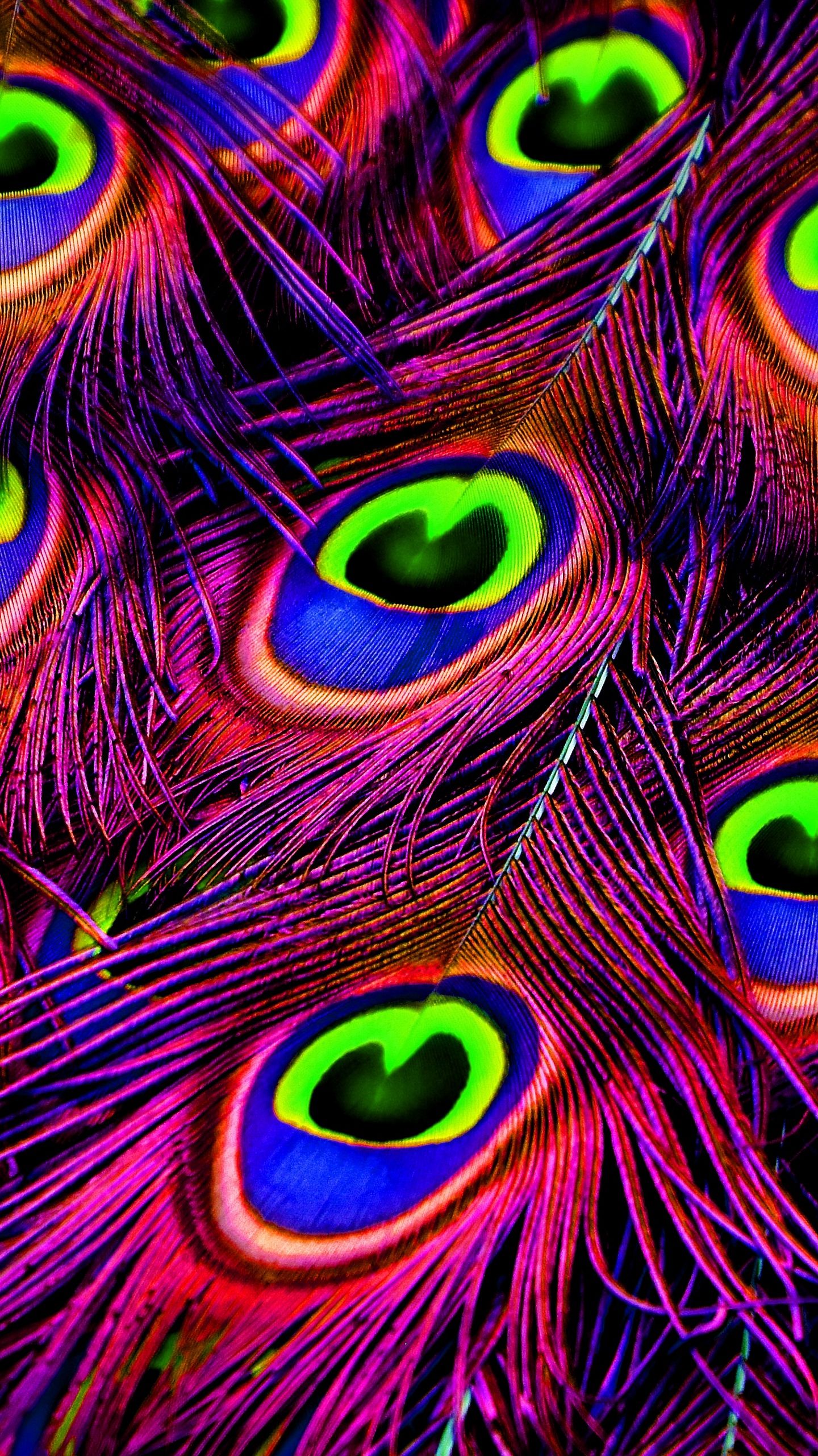 Peacock HD Mobile Wallpapers Wallpaper Cave