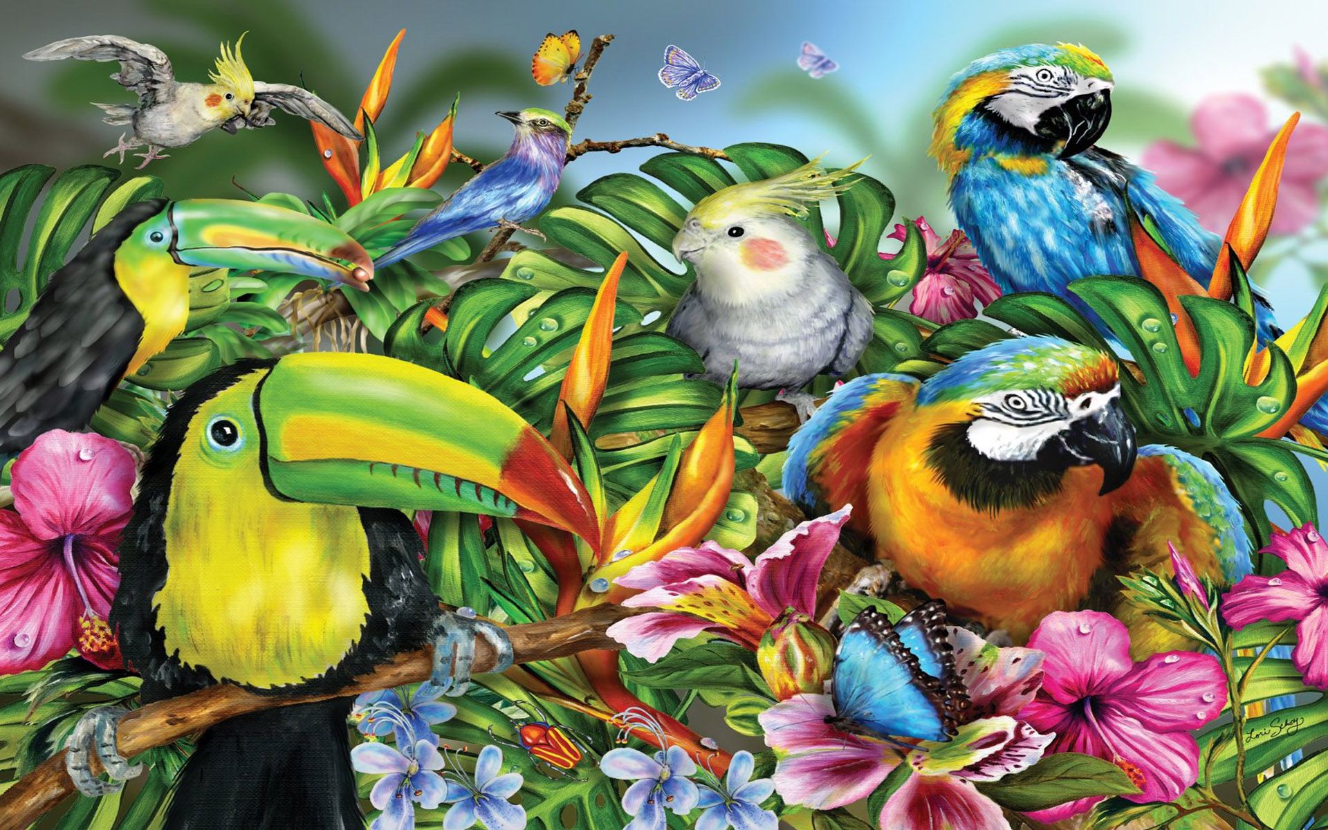 Colorful Bird Art Wallpapers Wallpaper Cave