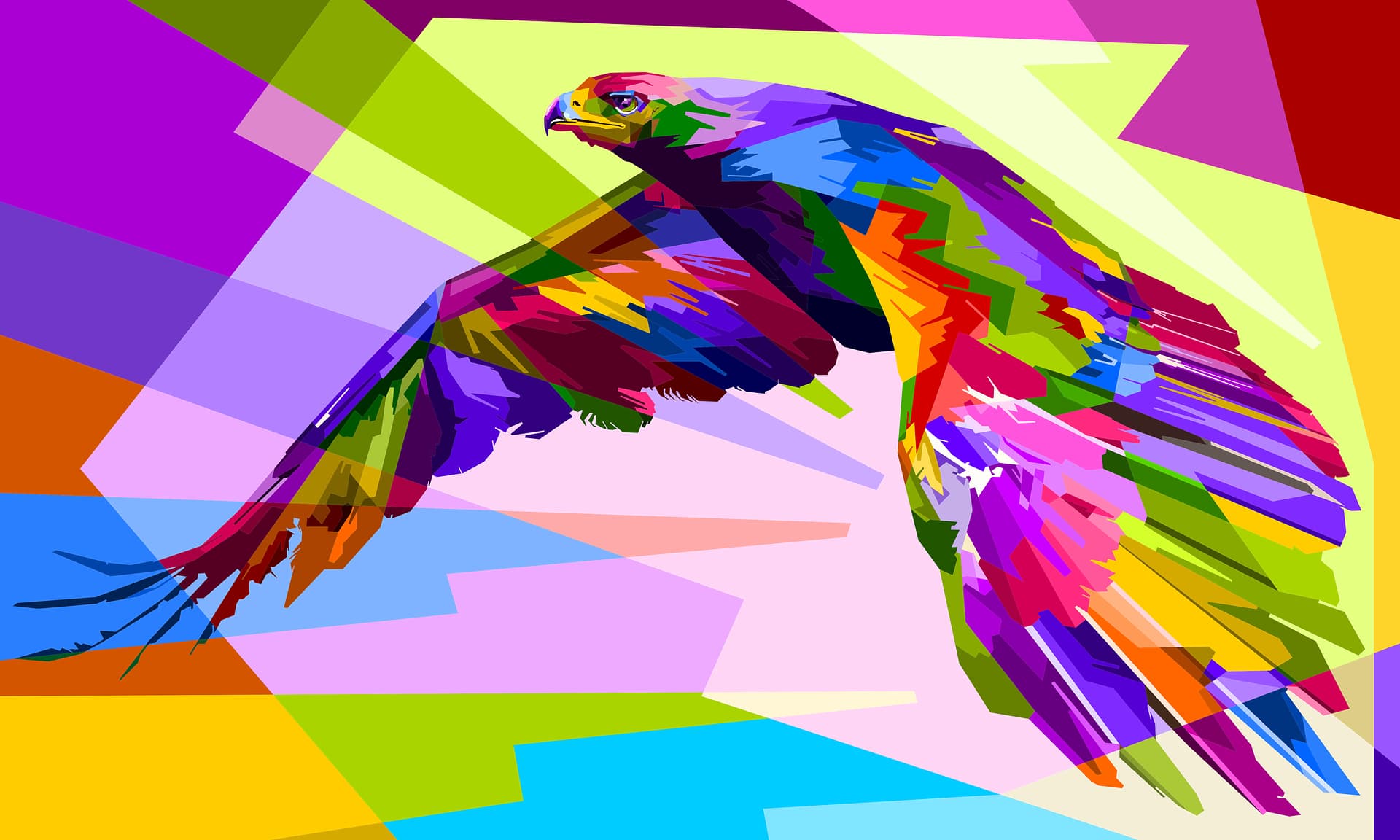 Colorful Bird Art Wallpapers Wallpaper Cave