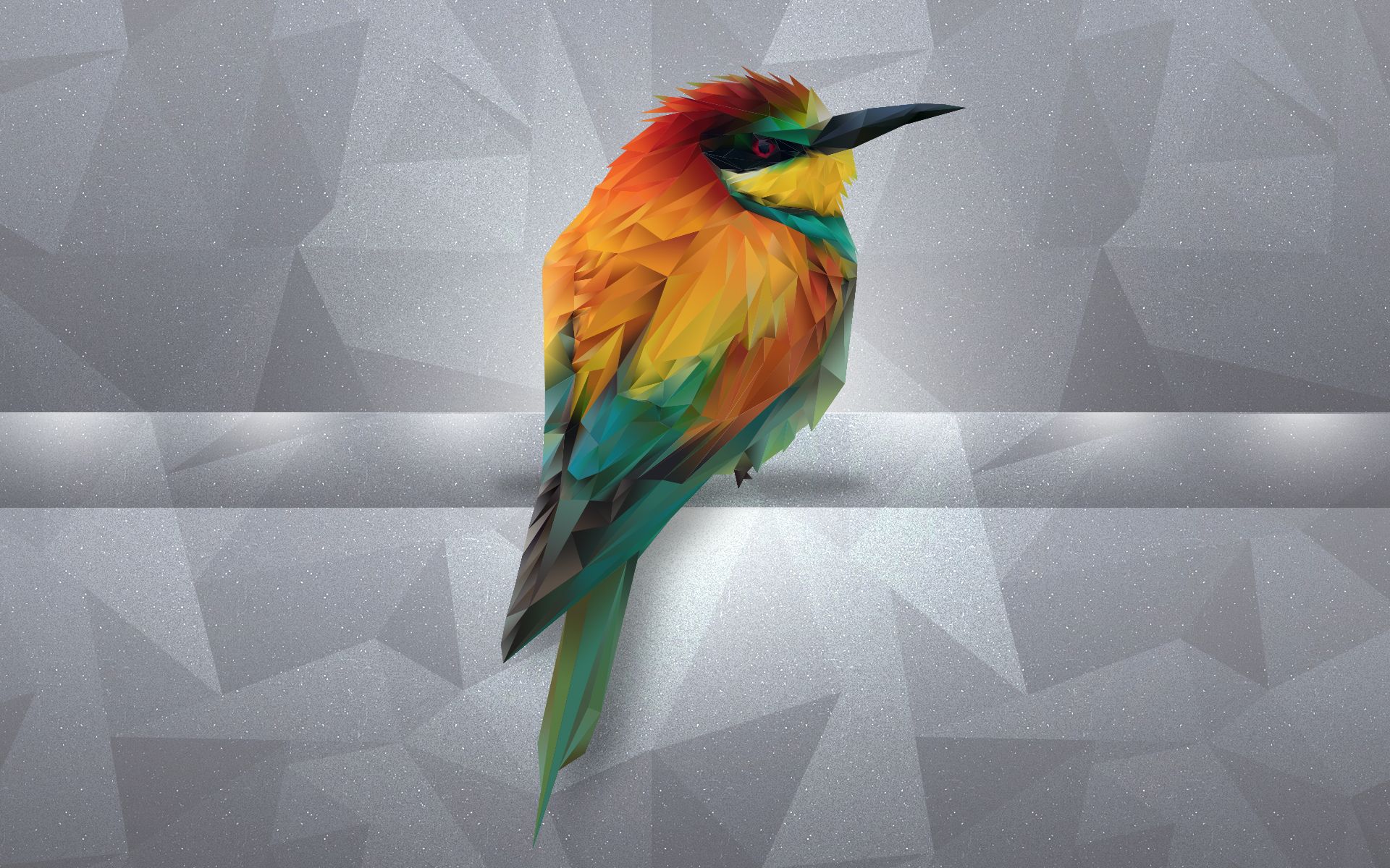 Colorful Bird Art Wallpapers Wallpaper Cave