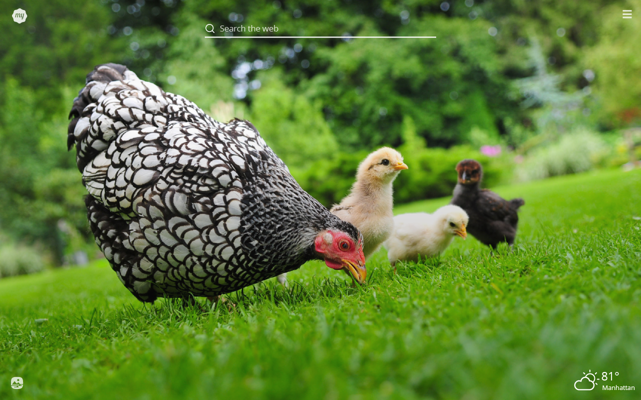 Baby Farm Animals Wallpapers Wallpaper Cave