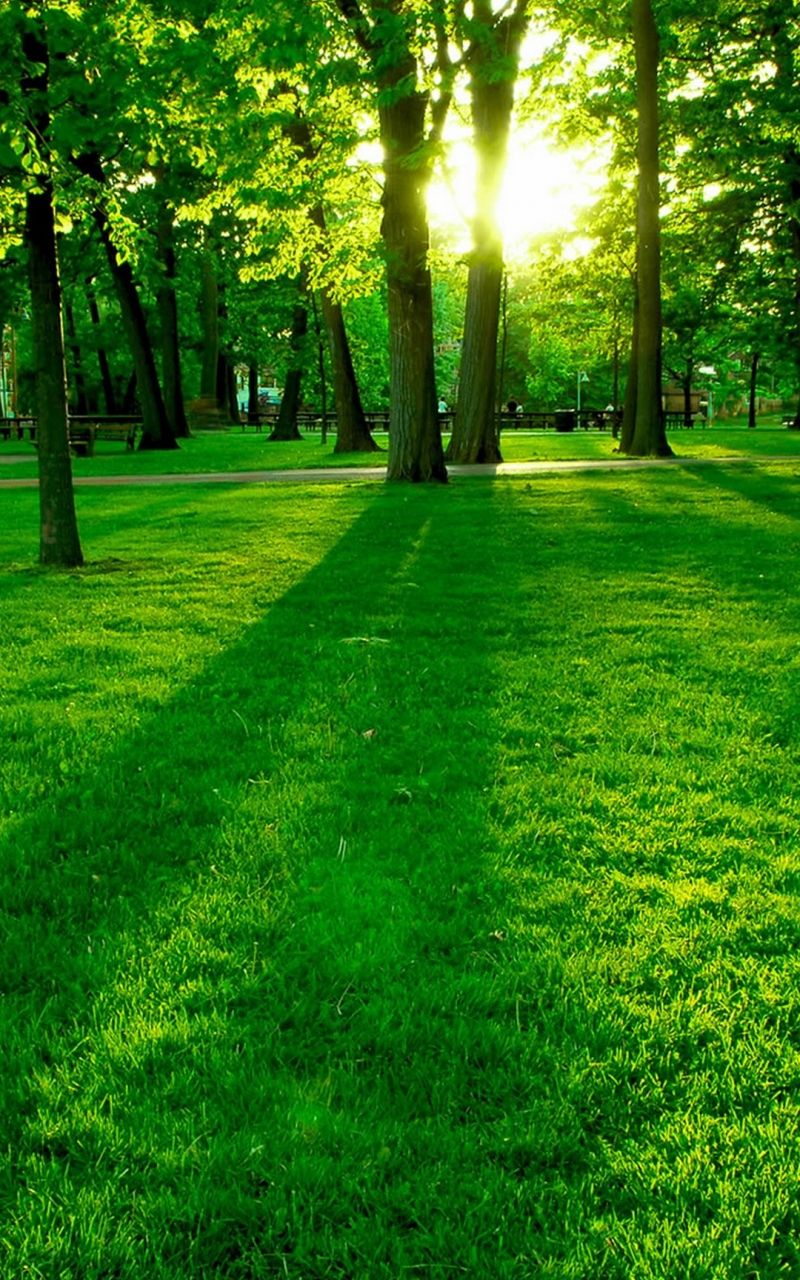 Nature For Android Wallpapers Wallpaper Cave