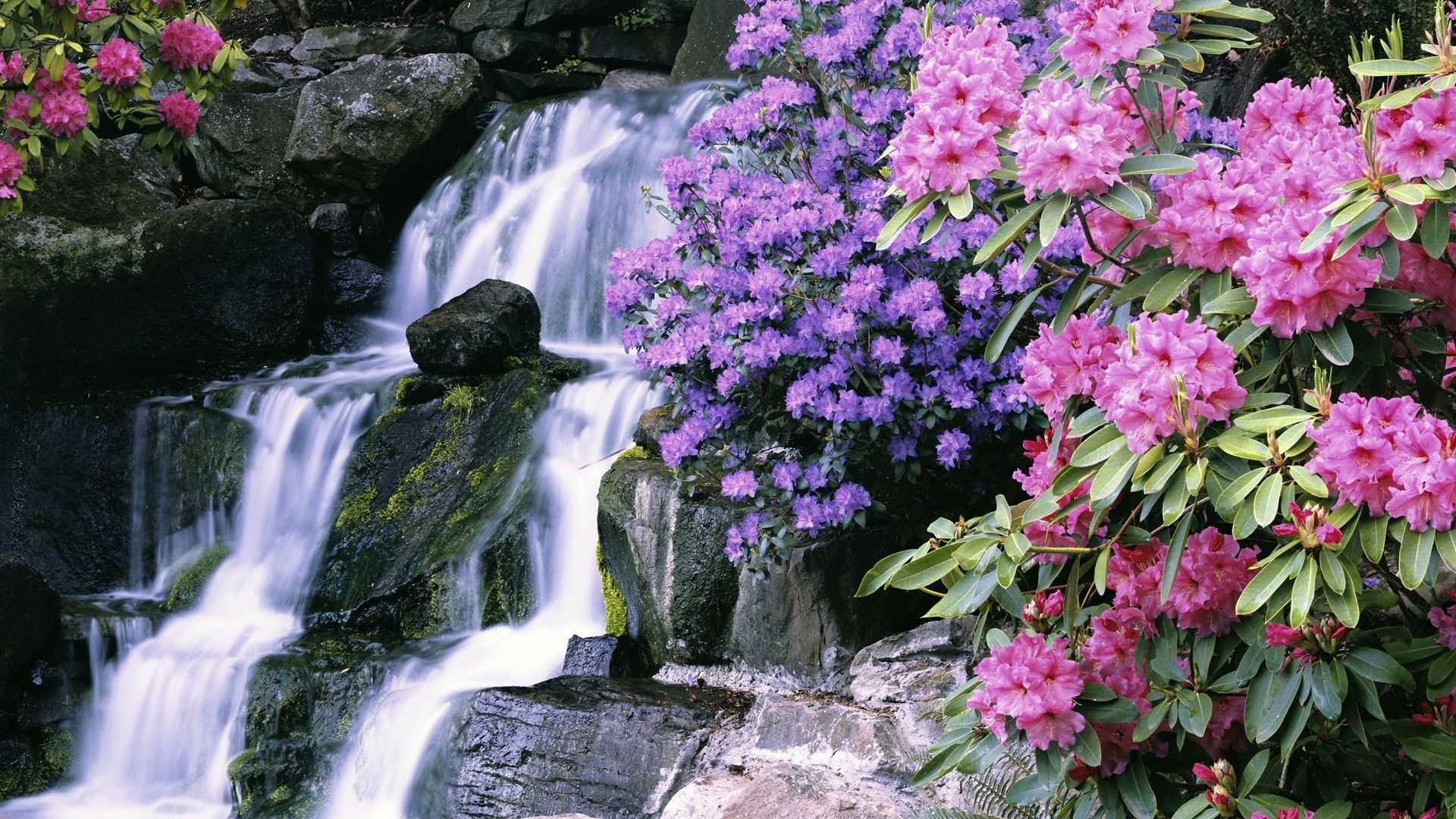 Waterfall Flowers Wallpapers Wallpaper Cave