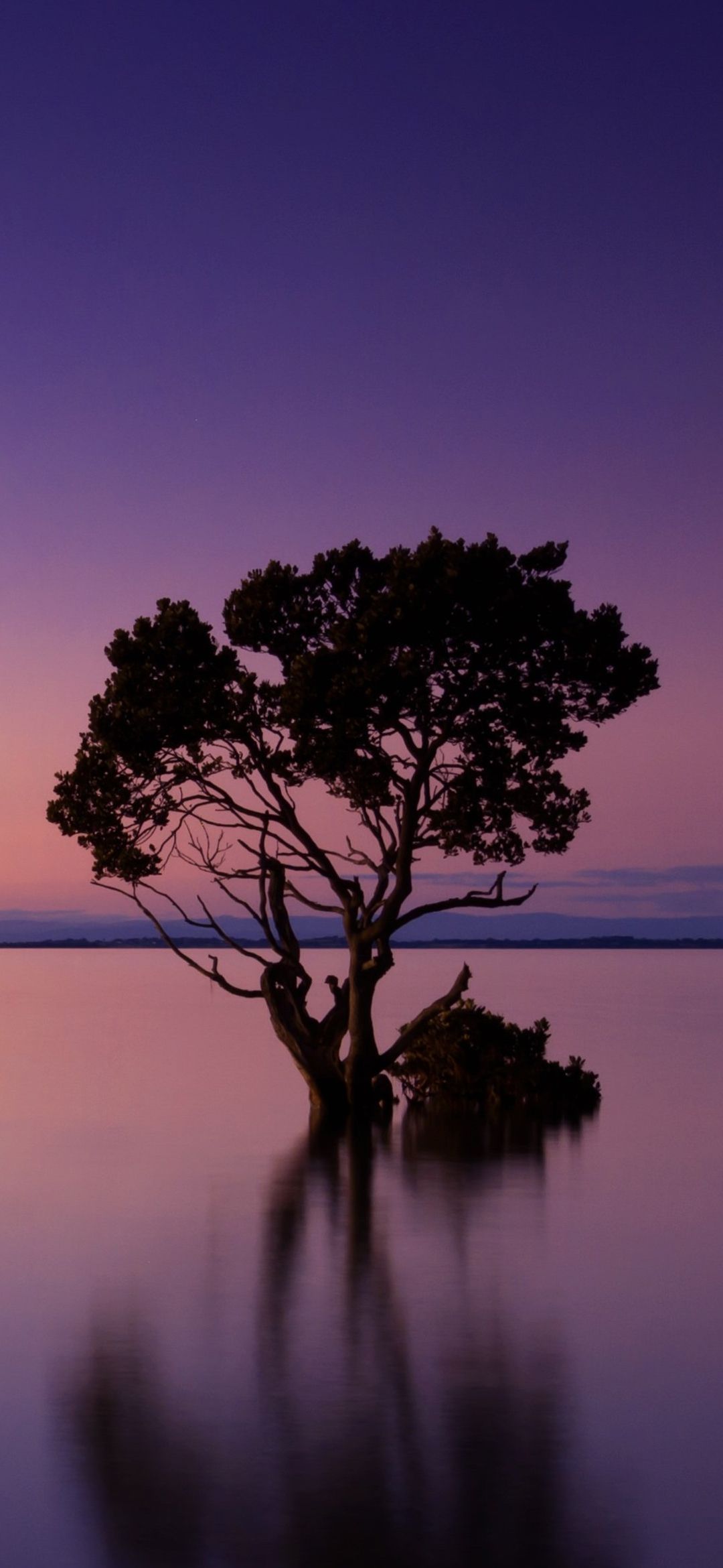 Xiaomi Redmi Note 8 Wallpapers Wallpaper Cave