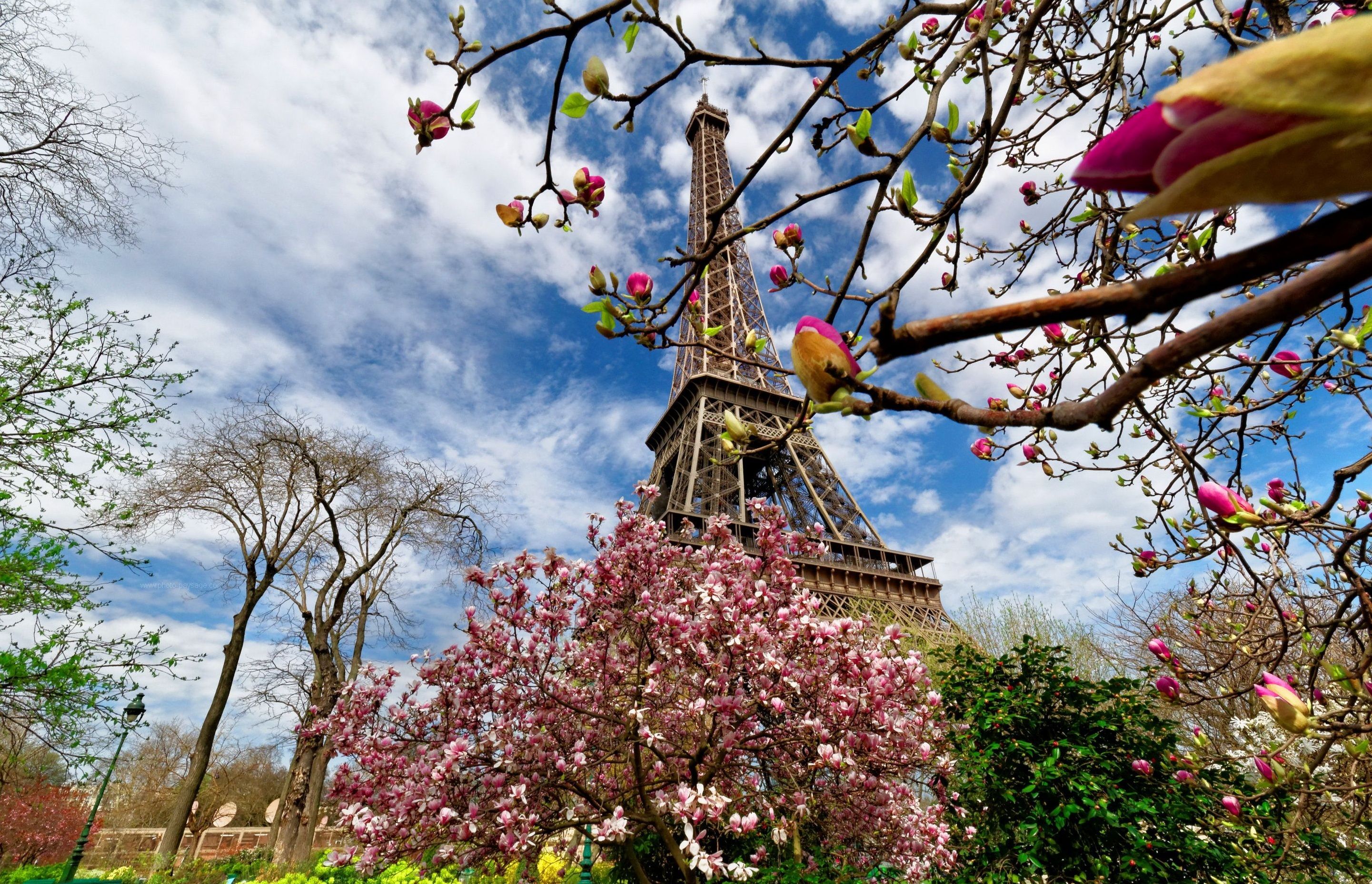 Spring Paris Wallpapers Wallpaper Cave