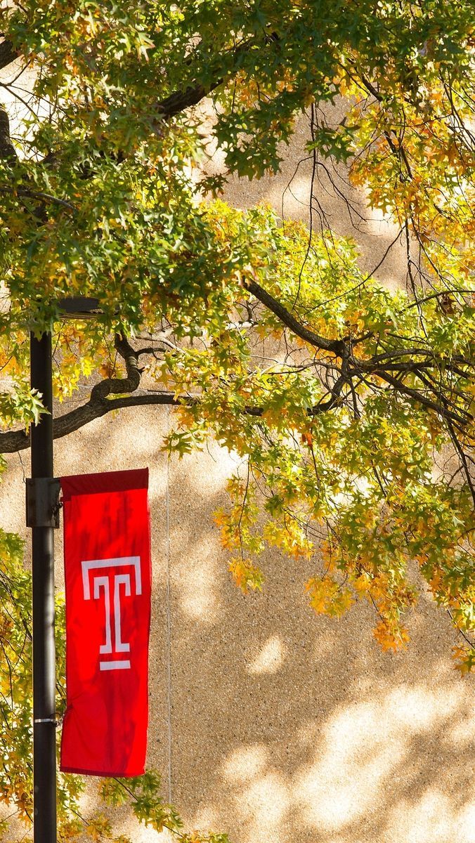 Temple University Wallpapers Wallpaper Cave