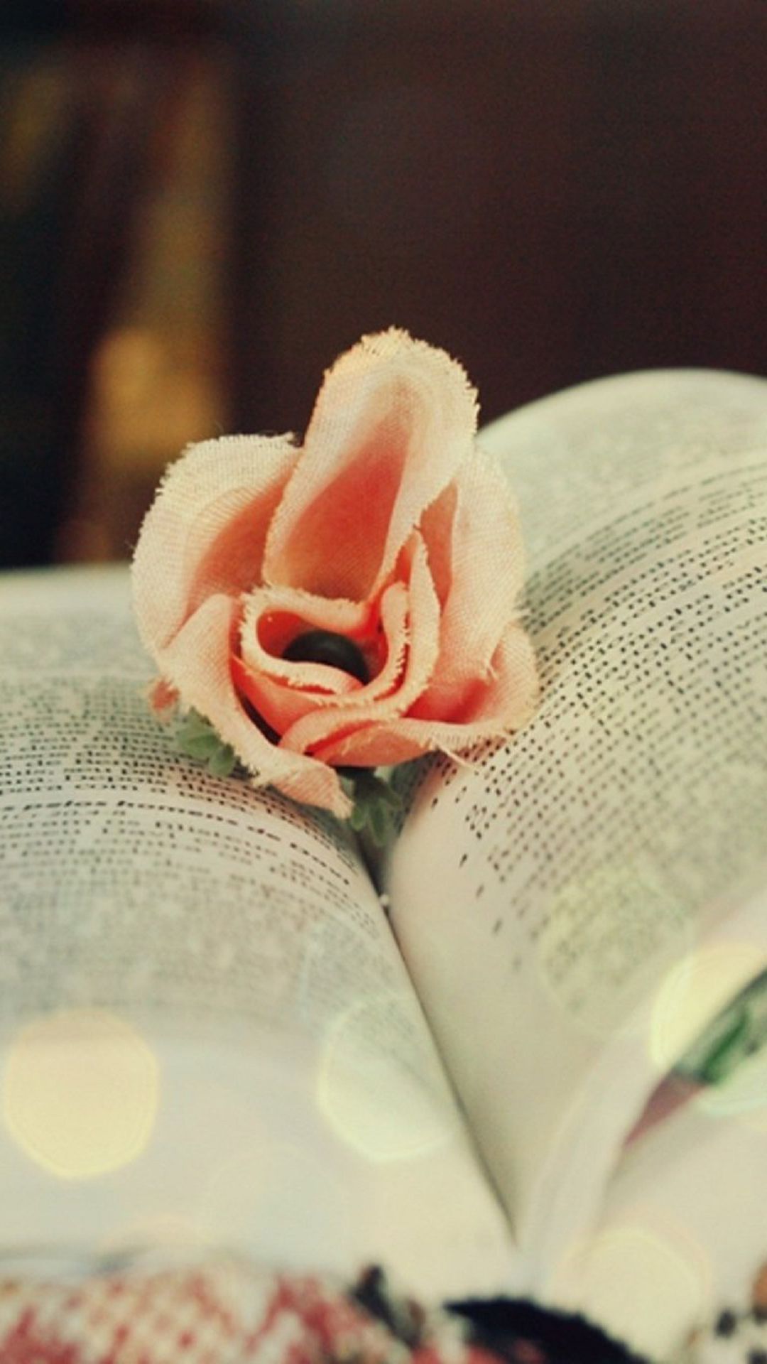 Rose In Book Wallpapers Wallpaper Cave
