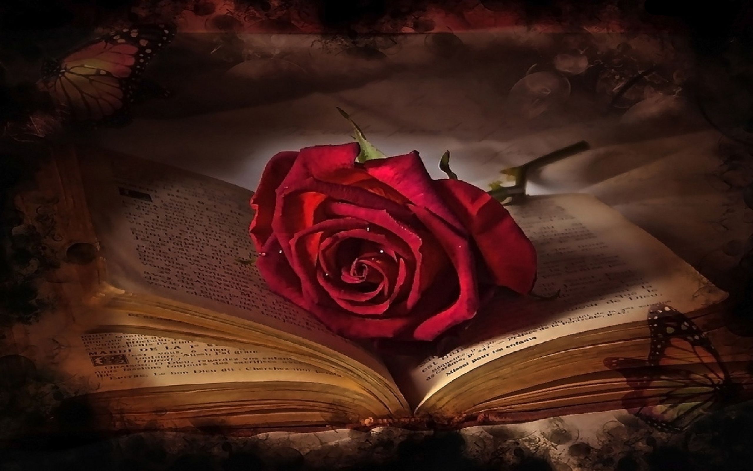Rose In Book Wallpapers Wallpaper Cave