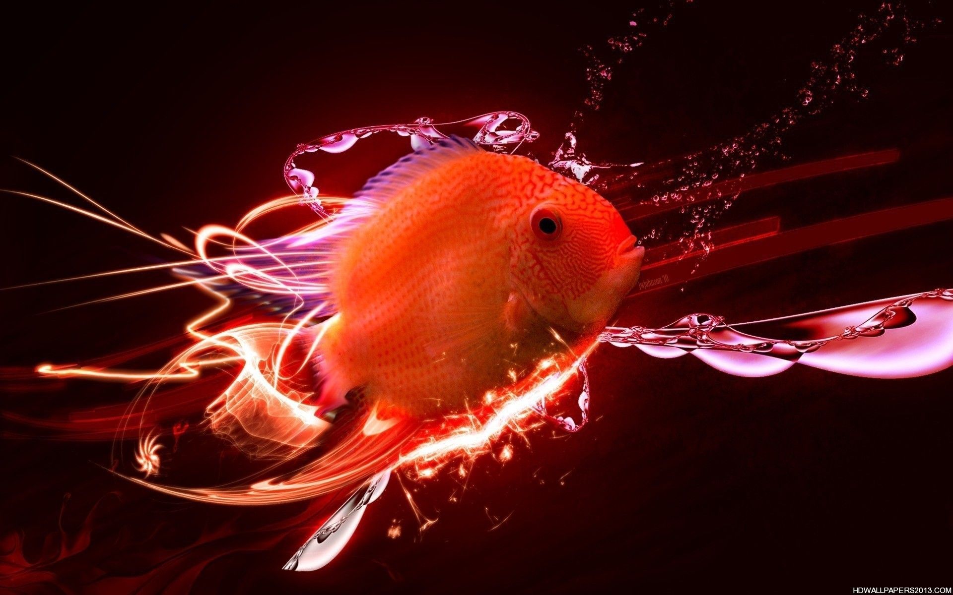 3d Fish Wallpapers Wallpaper Cave