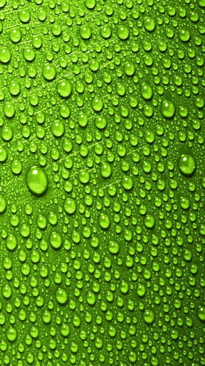 Green Water Drops Wallpaper WoodsLima