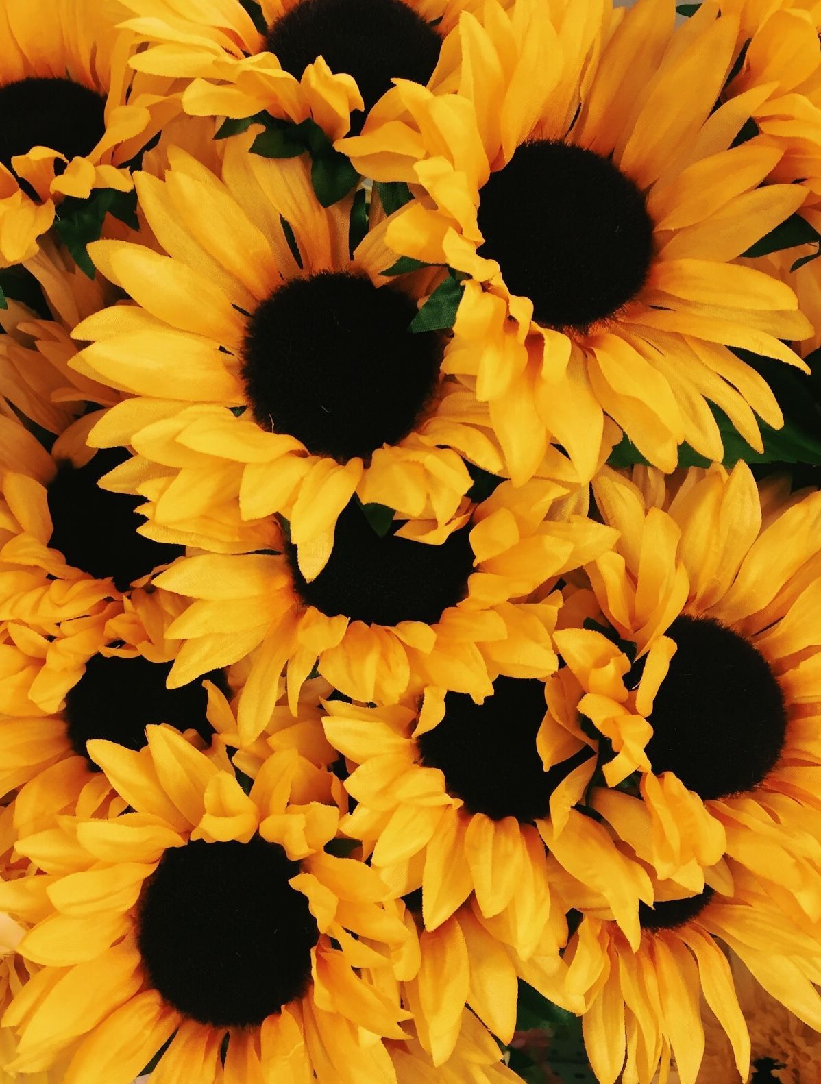Yellow Aesthetic Sunflower Wallpapers Wallpaper Cave