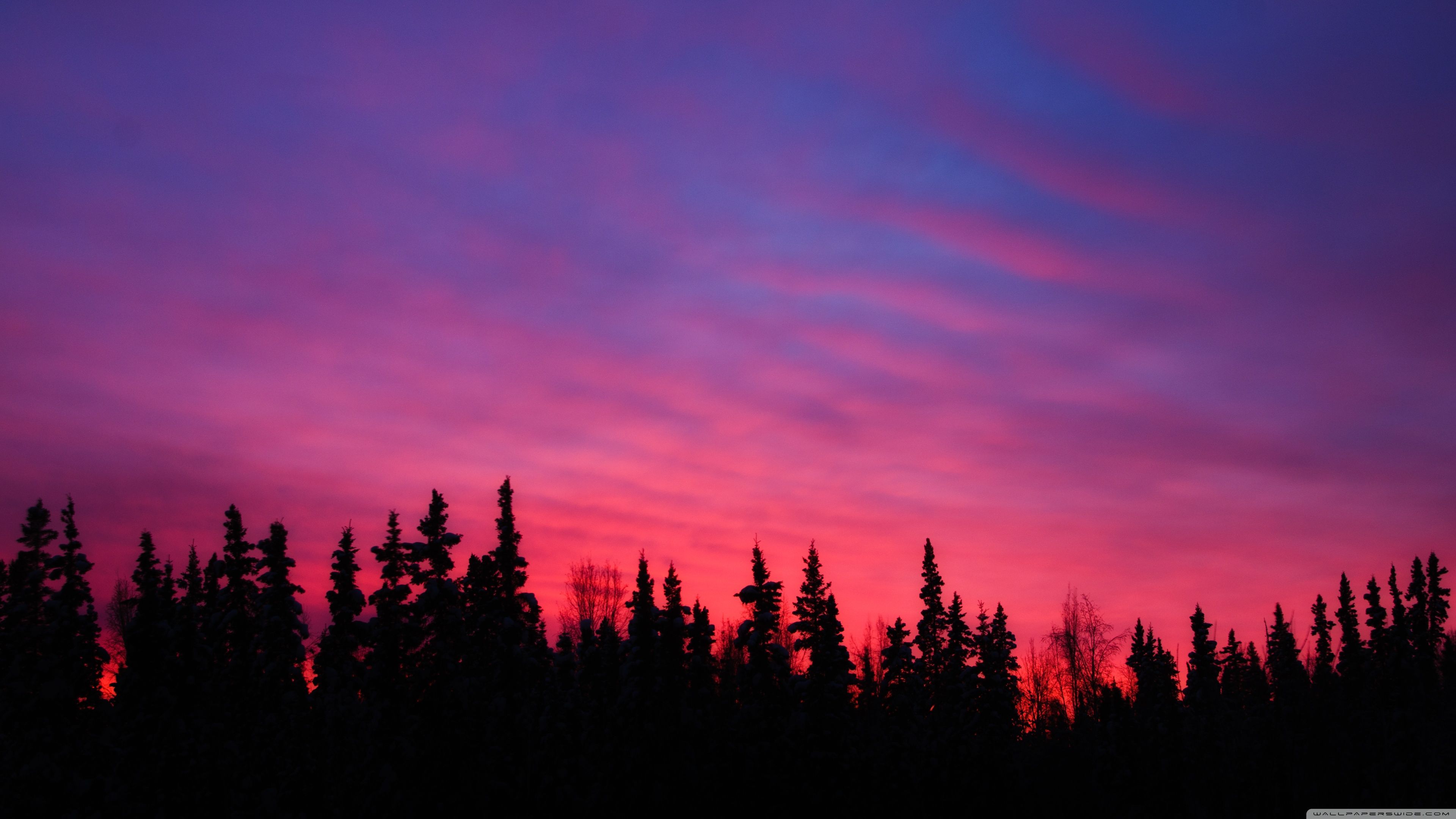 Computer 4k Pink Wallpapers Wallpaper Cave