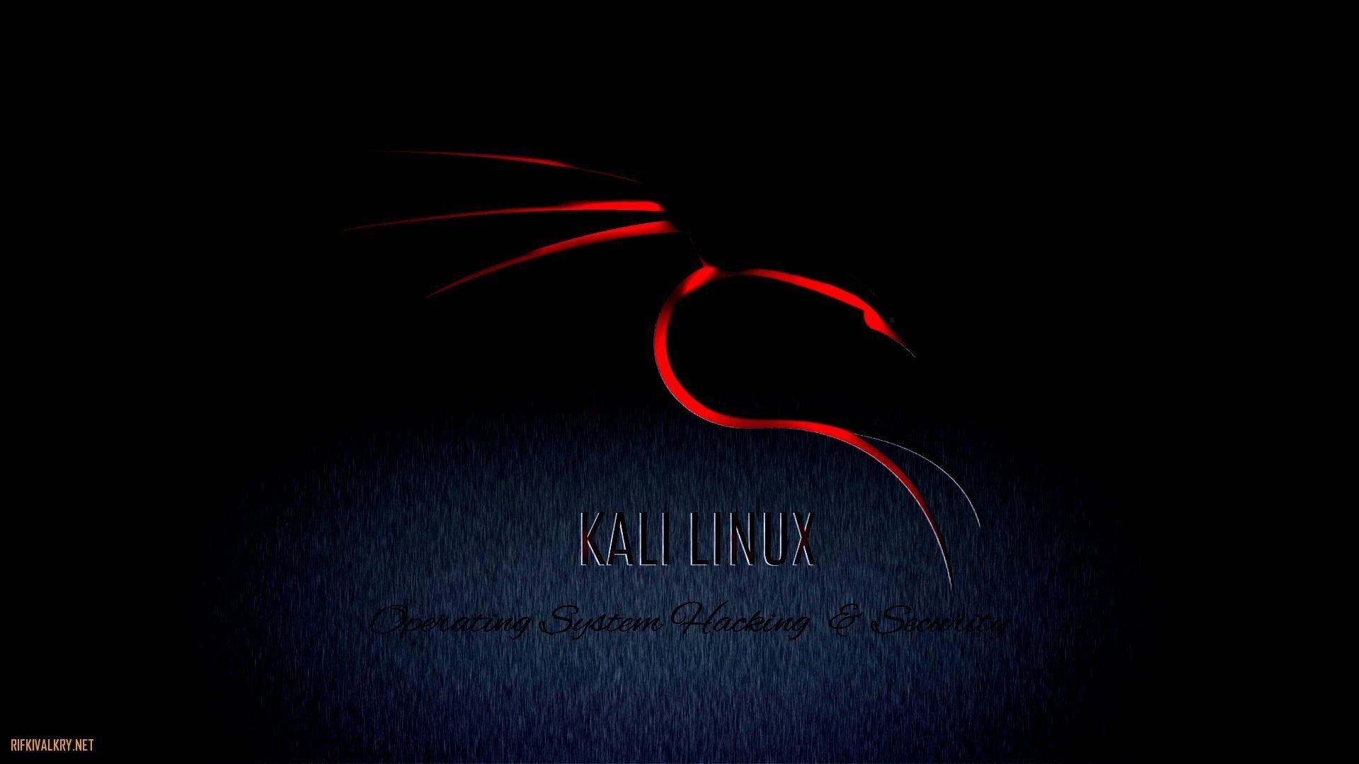 Wallpaper Kali Linux For Smartphone Kali Linux Android Wallpapers