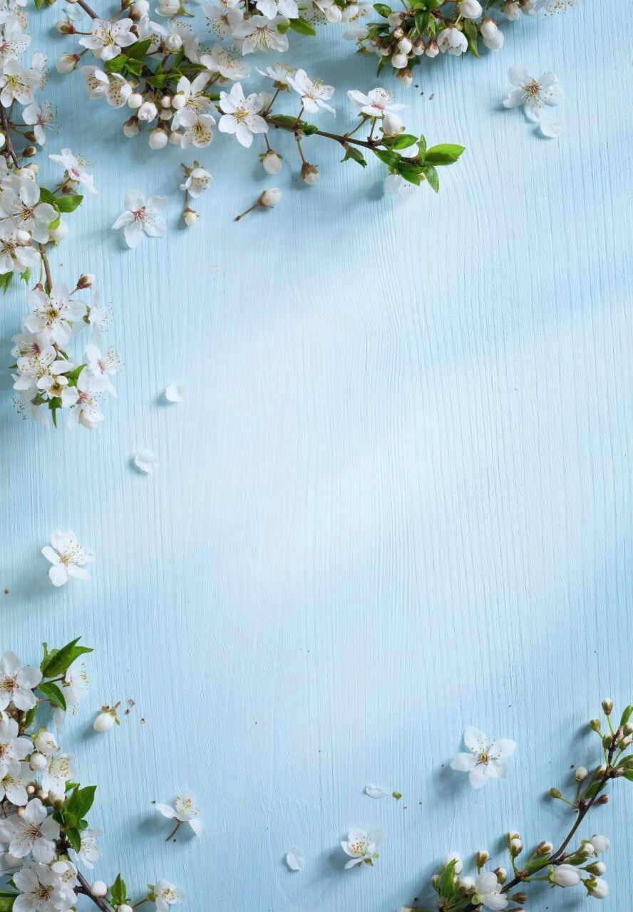 Spring For Mobile Wallpapers Wallpaper Cave