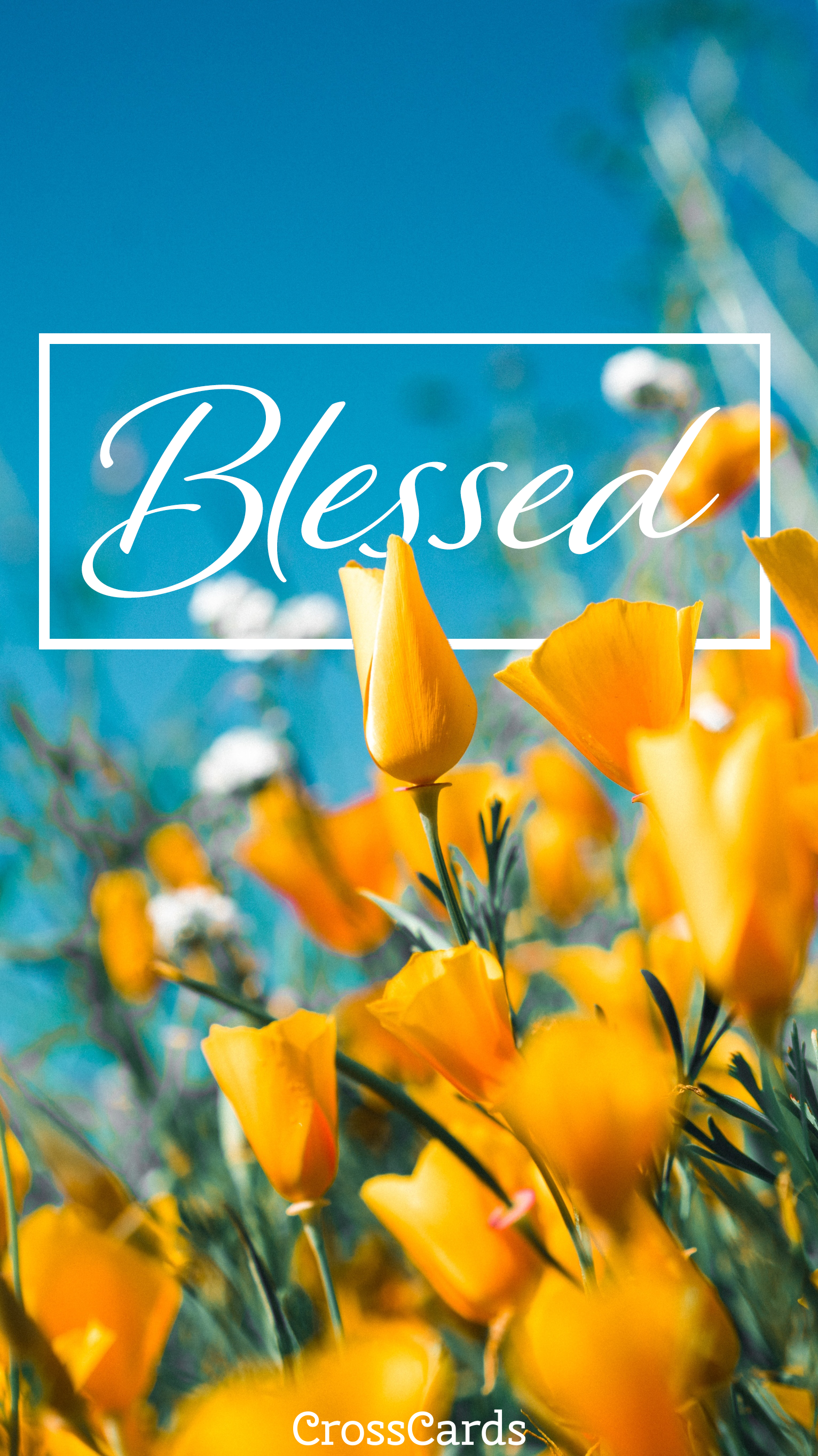 Blessed iPhone Wallpapers - Wallpaper Cave