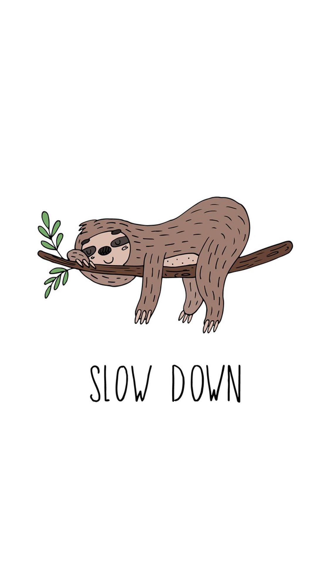Anime Sloth Wallpapers Wallpaper Cave