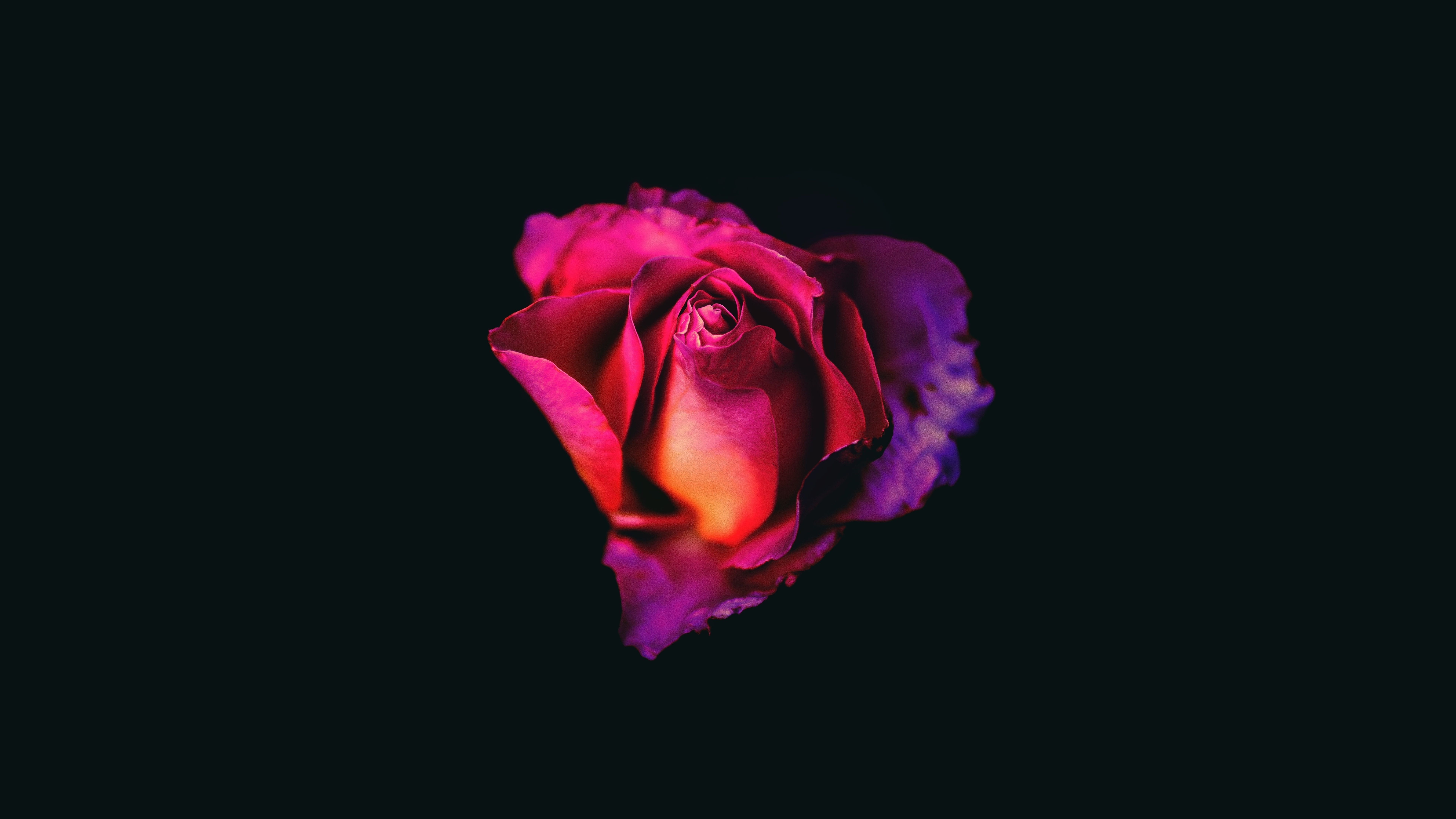 4k Oled Windows Wallpapers Wallpaper Cave