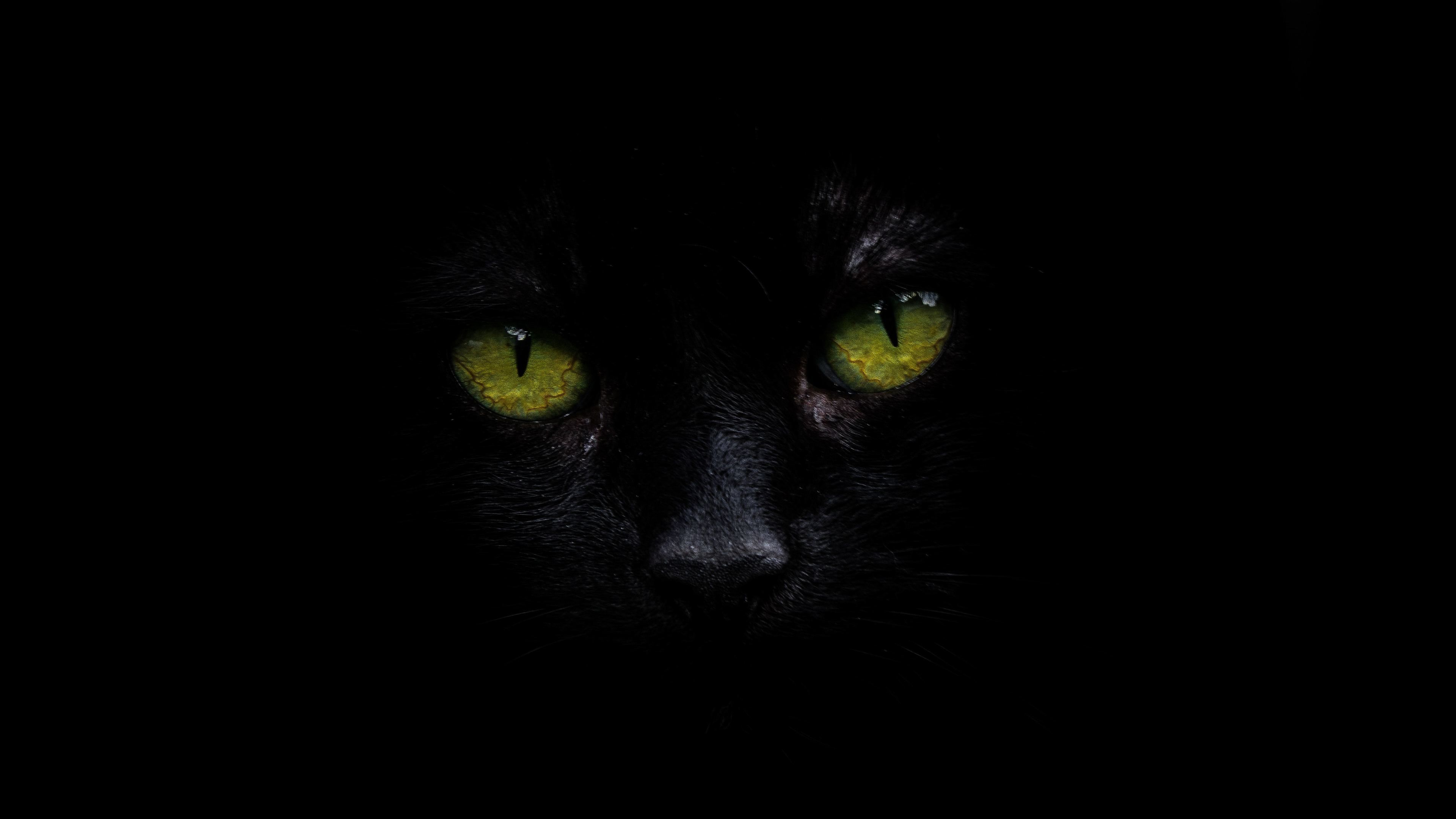 Download 15+ Top 4k Black Oled Wallpaper Absolutely Free