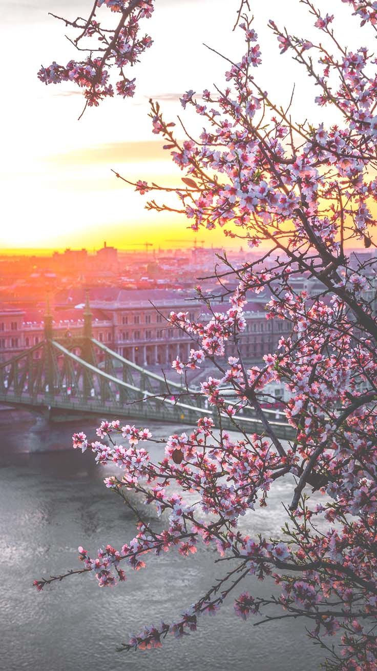 European Spring Wallpapers Wallpaper Cave