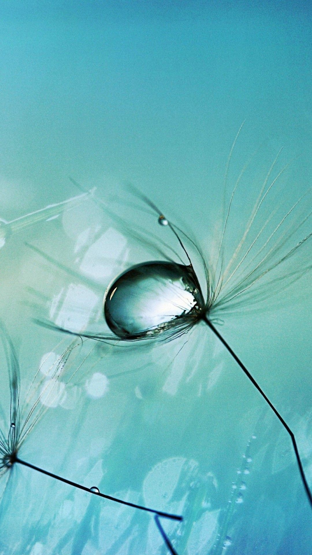 HD Wallpapers For Android Mobile Full Screen Wallpaper Cave