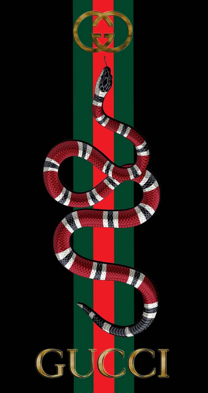 Gucci King Wallpapers Wallpaper Cave