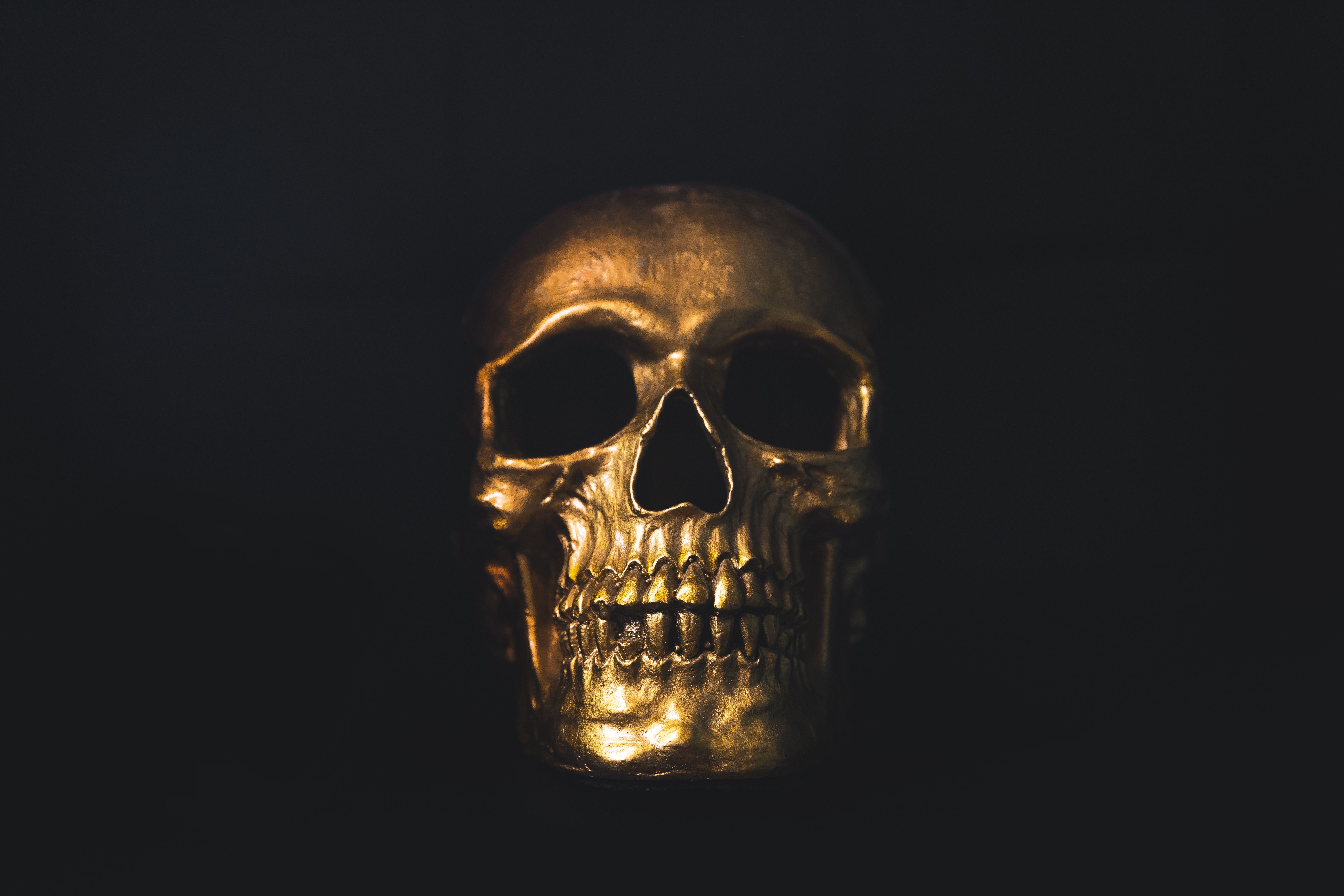 Desktop Skulls Roses 4k Wallpapers Wallpaper Cave