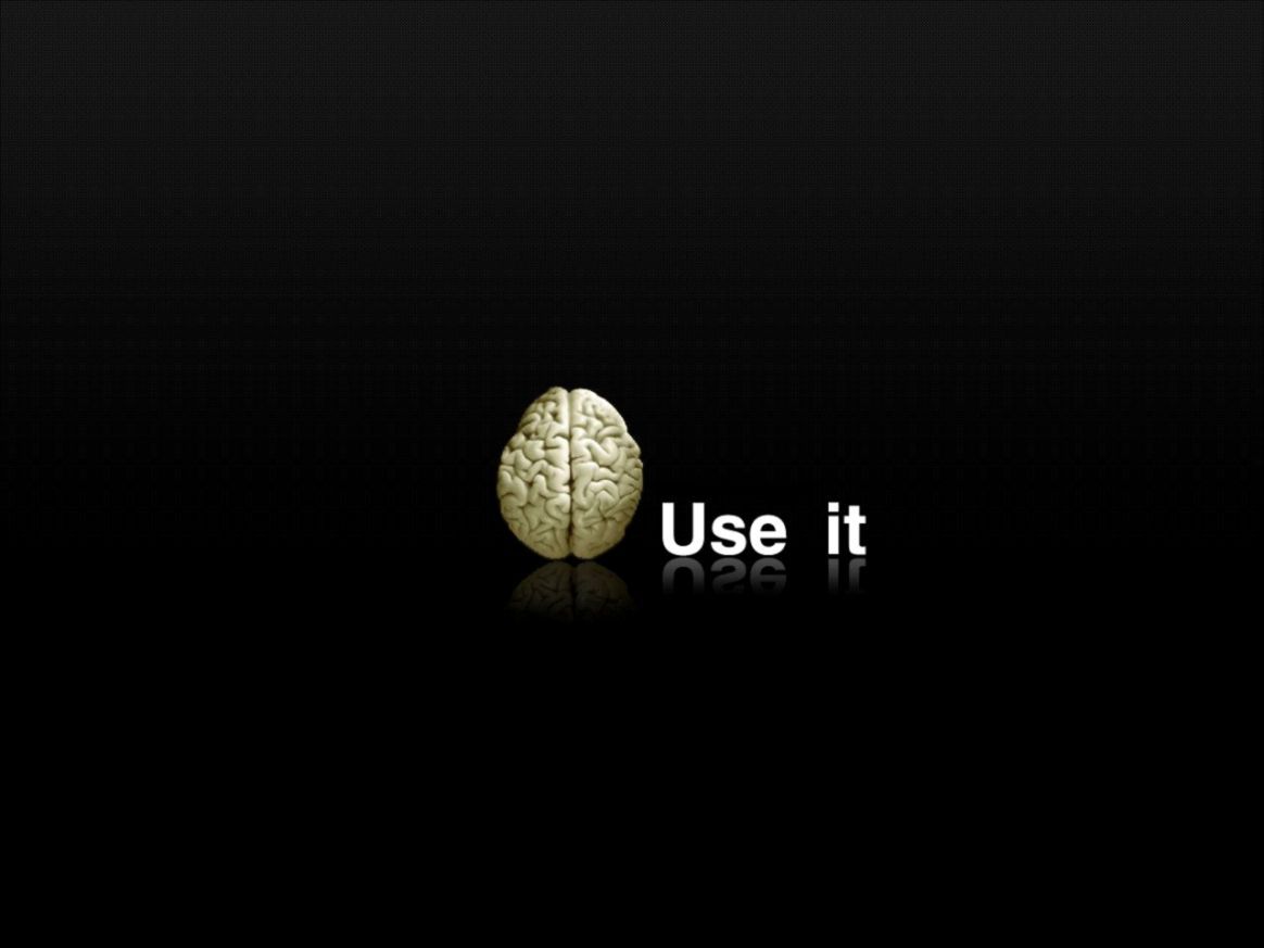 Idiot Wallpapers Wallpaper Cave