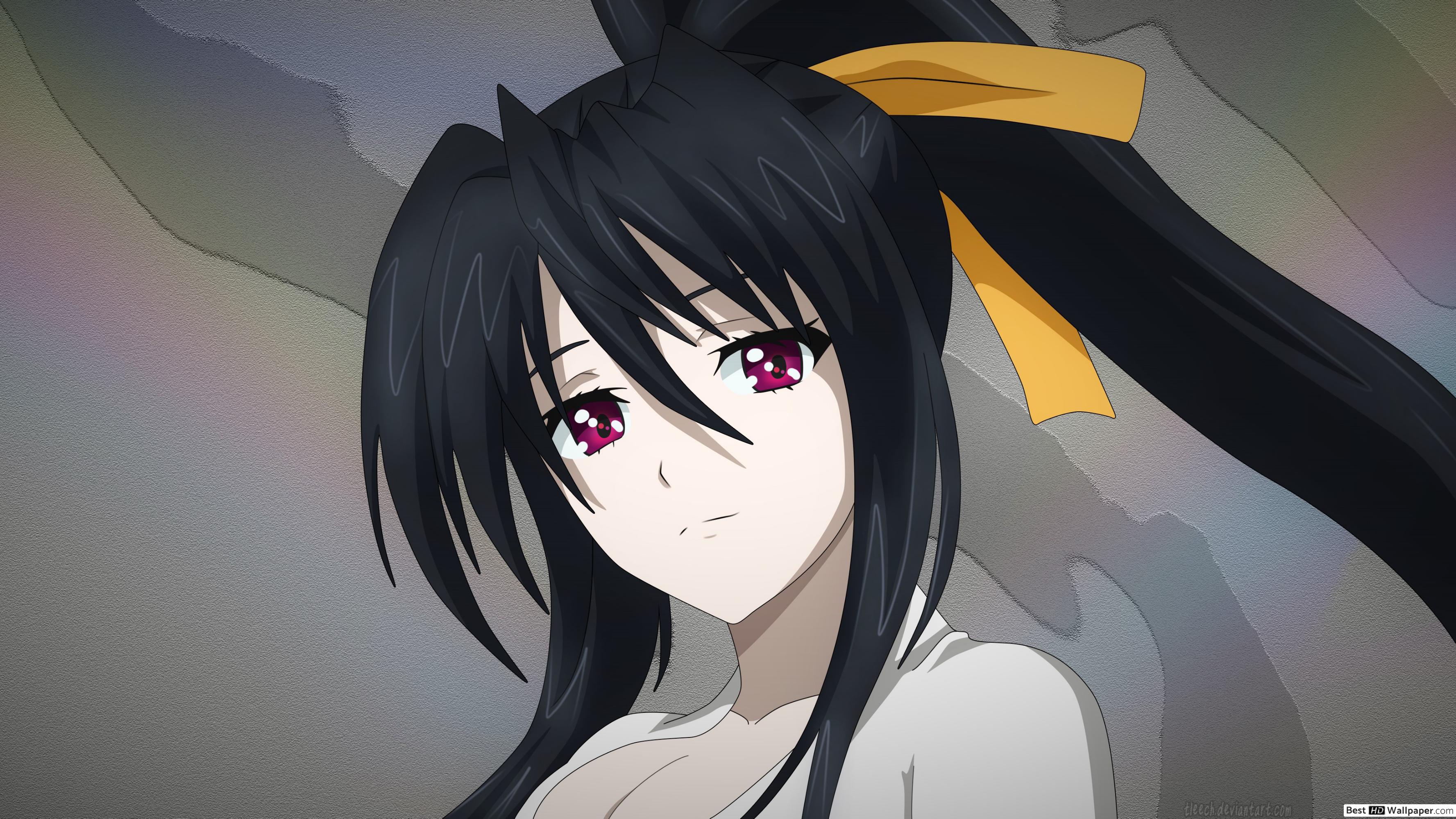 Akeno Himejima Desktop Wallpapers Wallpaper Cave
