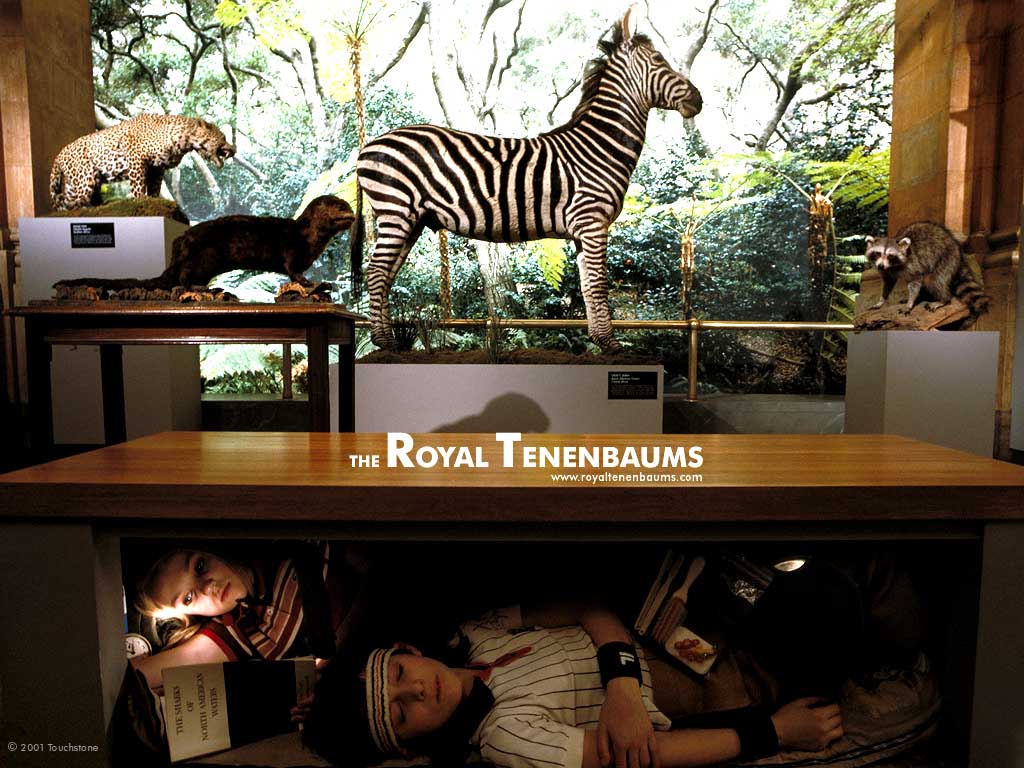 The Royal Tenenbaums Wallpapers Wallpaper Cave