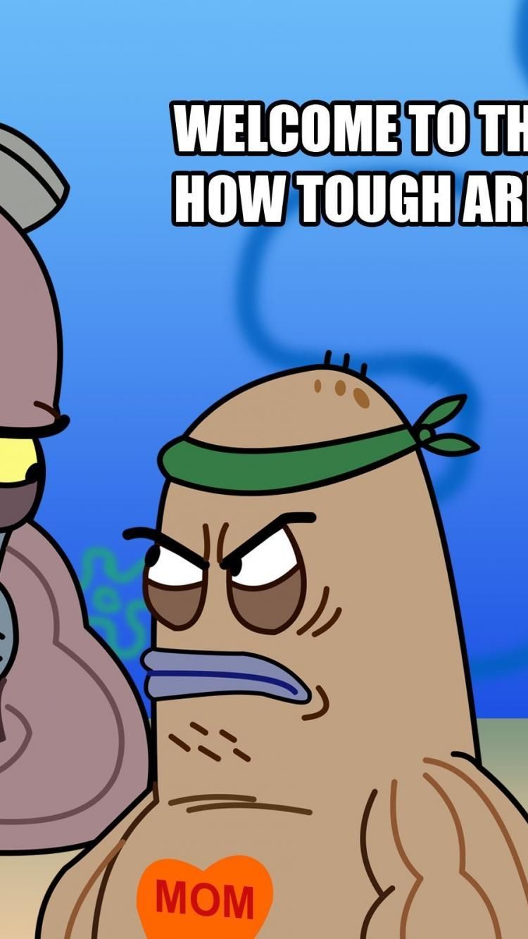 Meme iPhone Wallpapers Wallpaper Cave